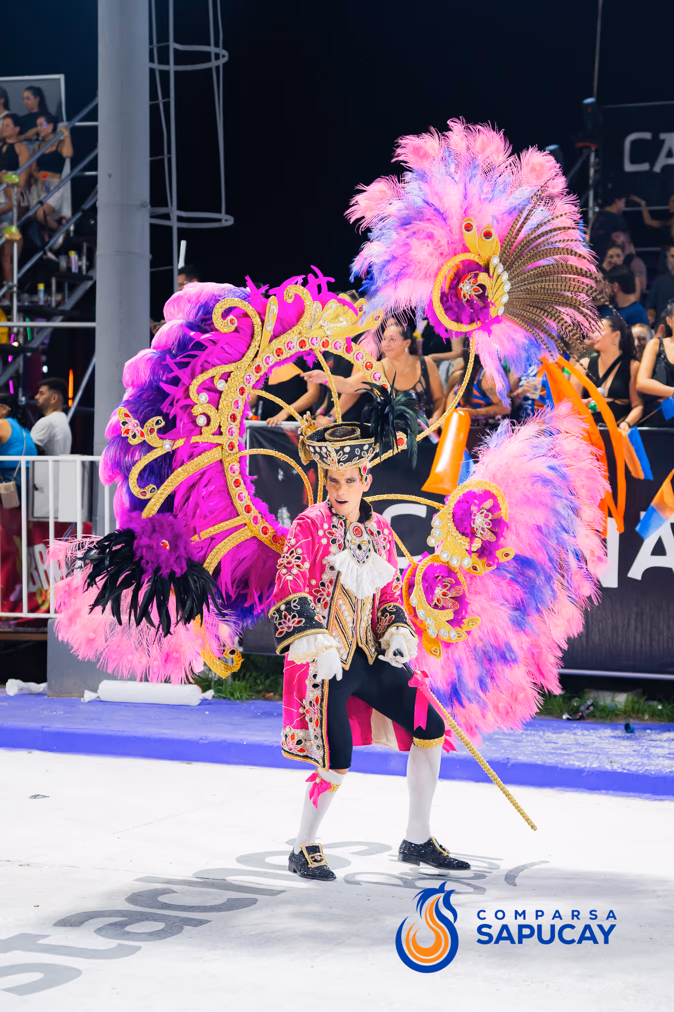 Galería de fotos del corso del Carnaval 2025