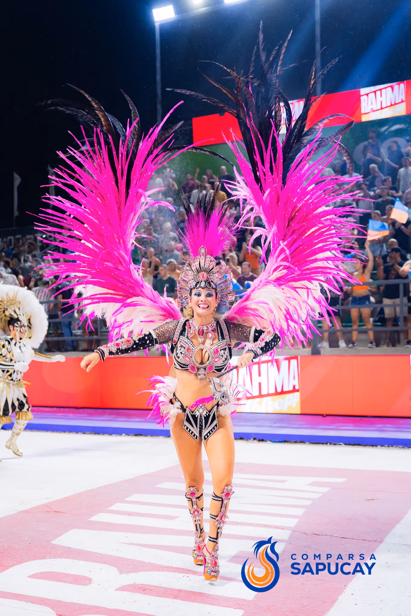Galería de fotos del corso del Carnaval 2025