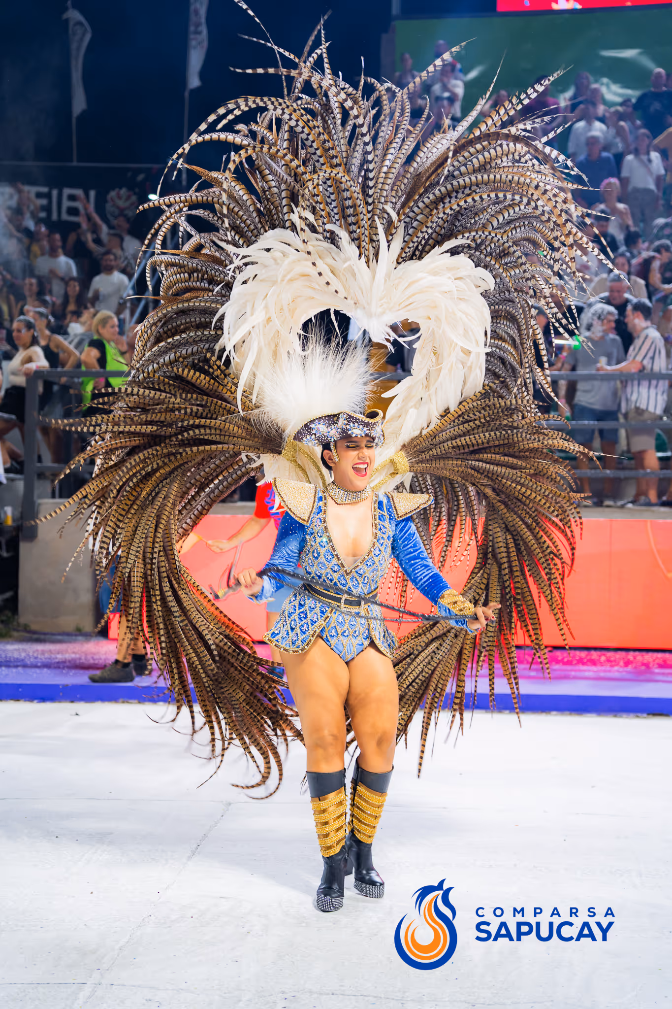 Galería de fotos del corso del Carnaval 2025