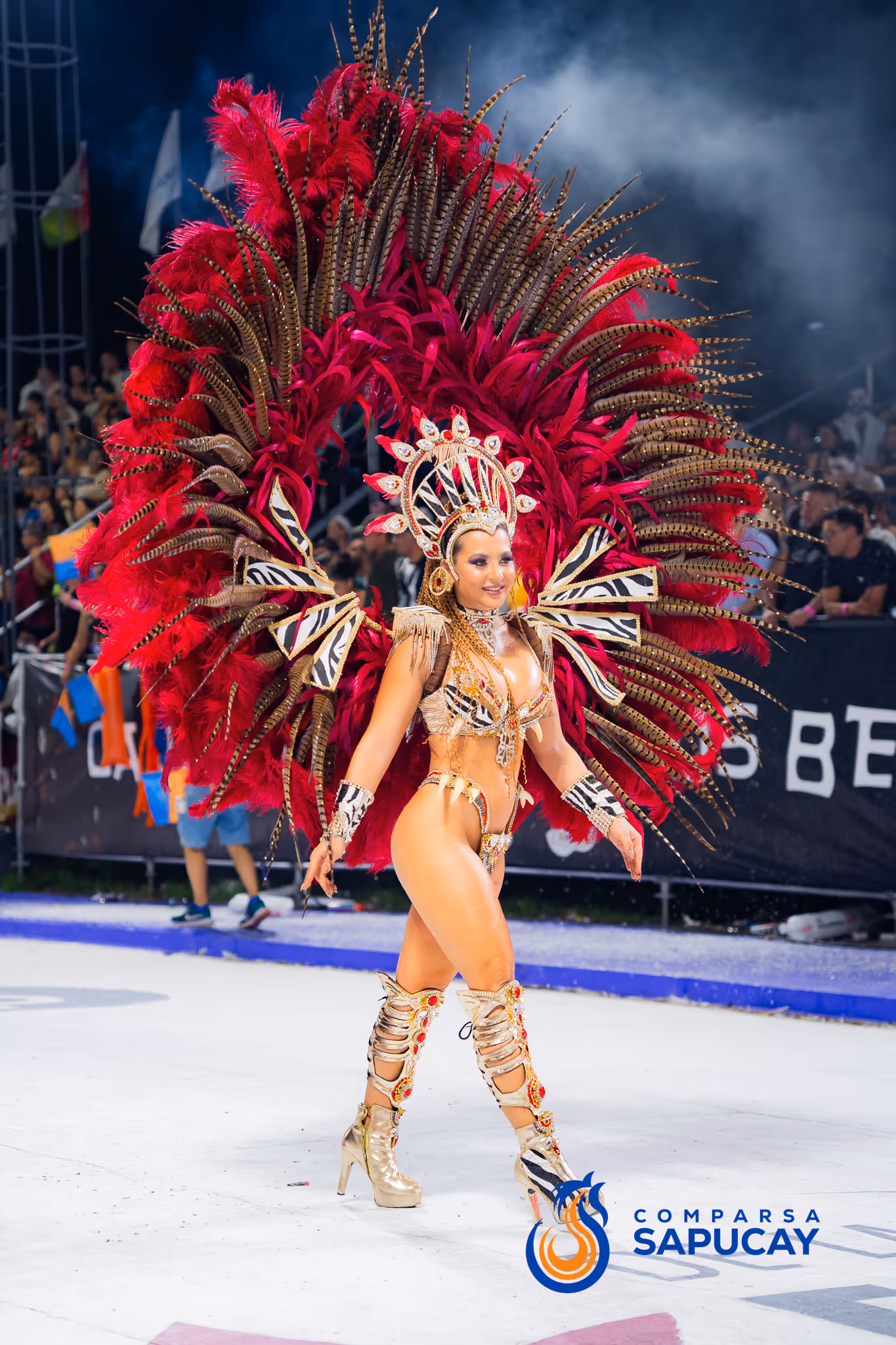 Galería de fotos del corso del Carnaval 2025
