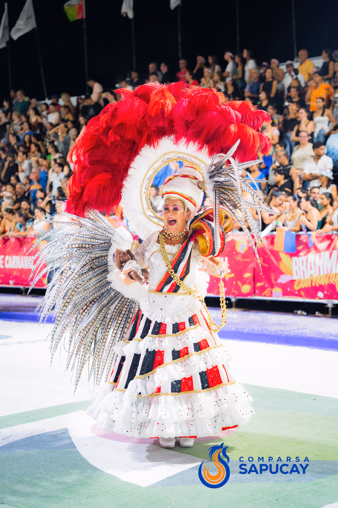 Galería de fotos del corso del Carnaval 2025