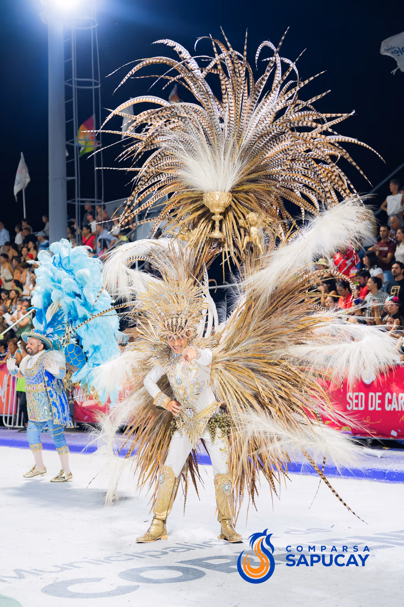 Galería de fotos del corso del Carnaval 2025
