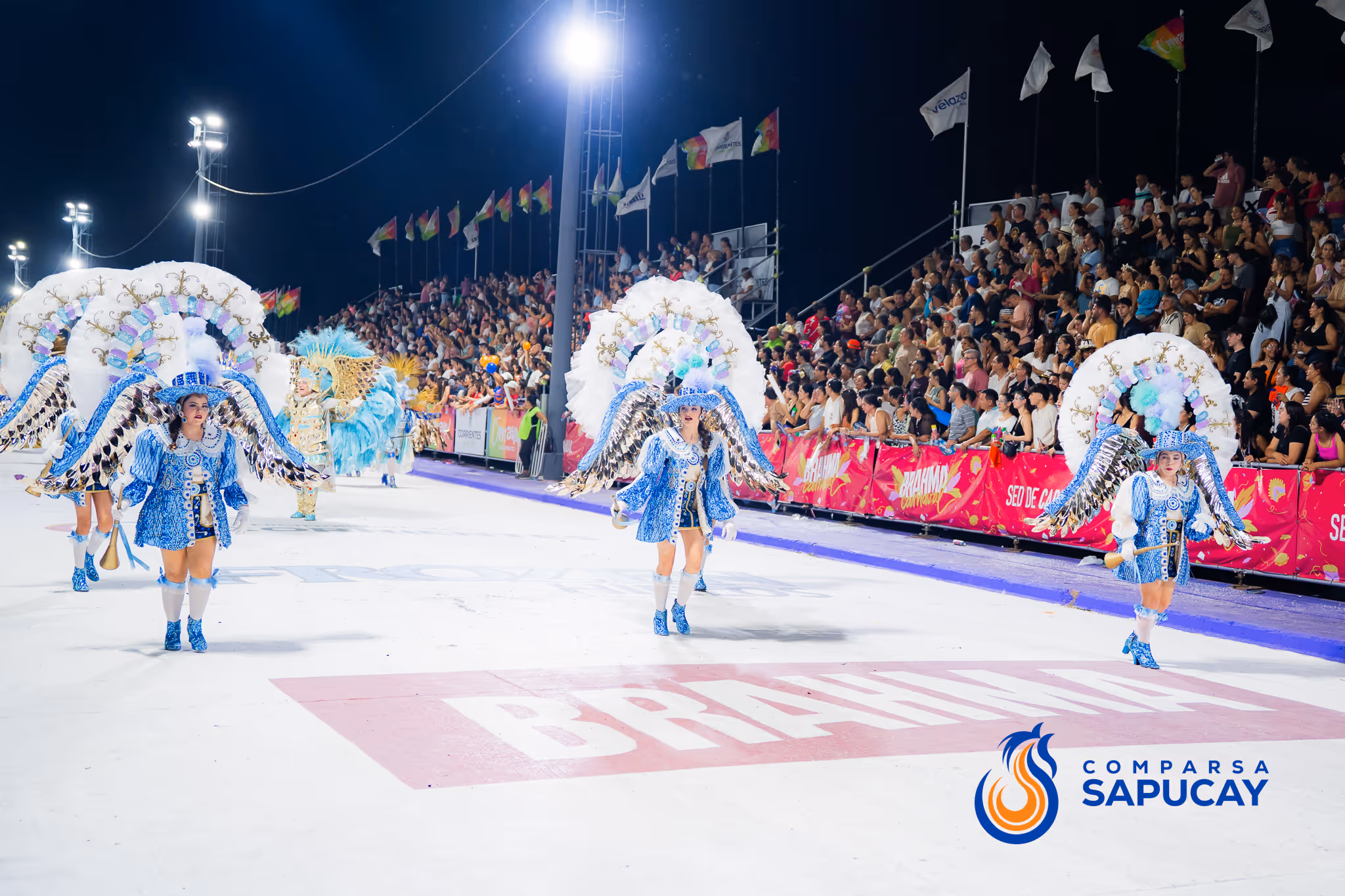 Galería de fotos del corso del Carnaval 2025