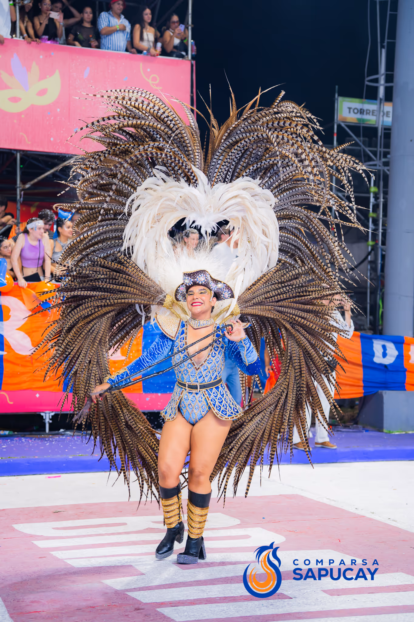 Galería de fotos del corso del Carnaval 2025