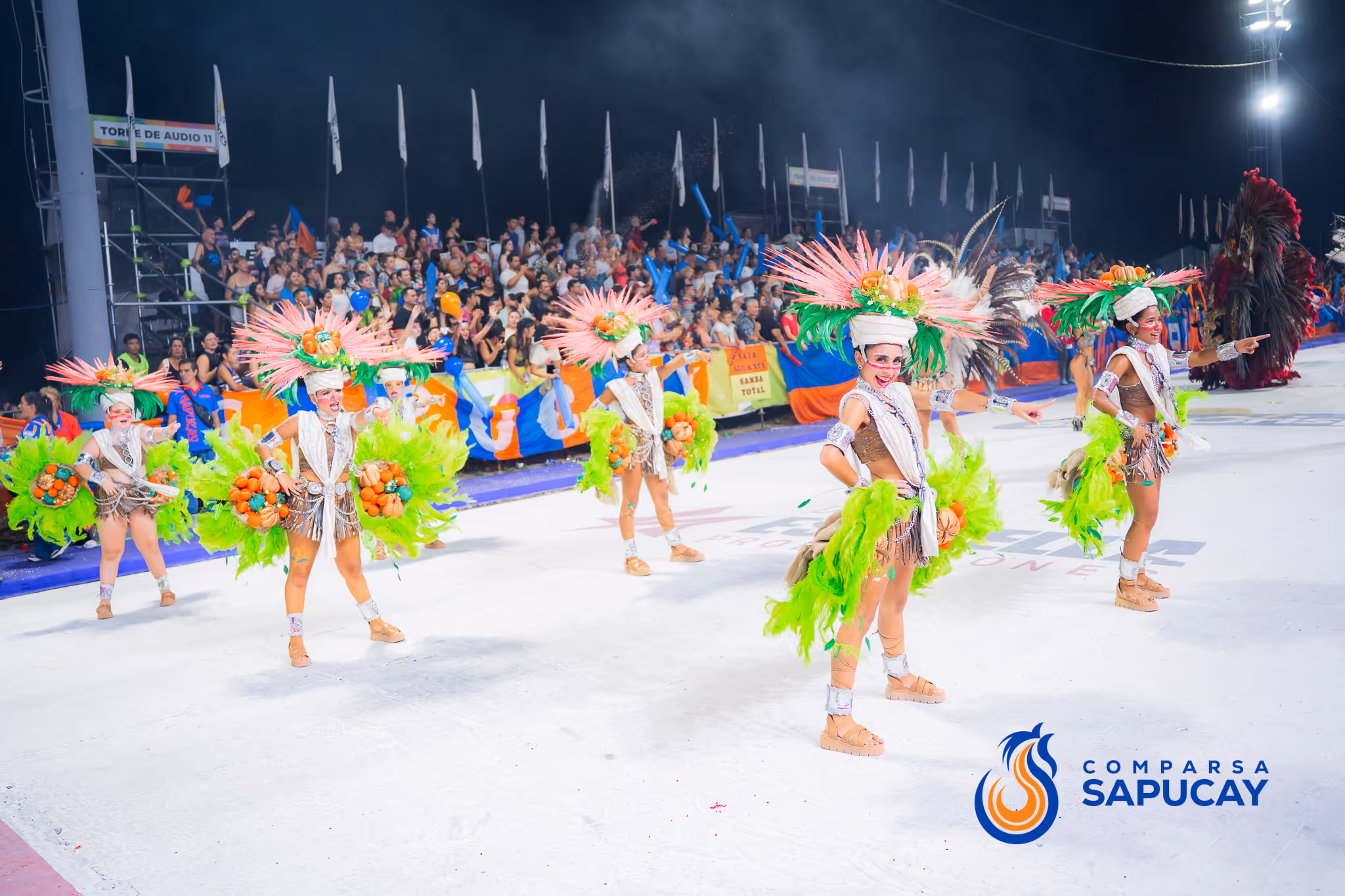 Galería de fotos del corso del Carnaval 2025