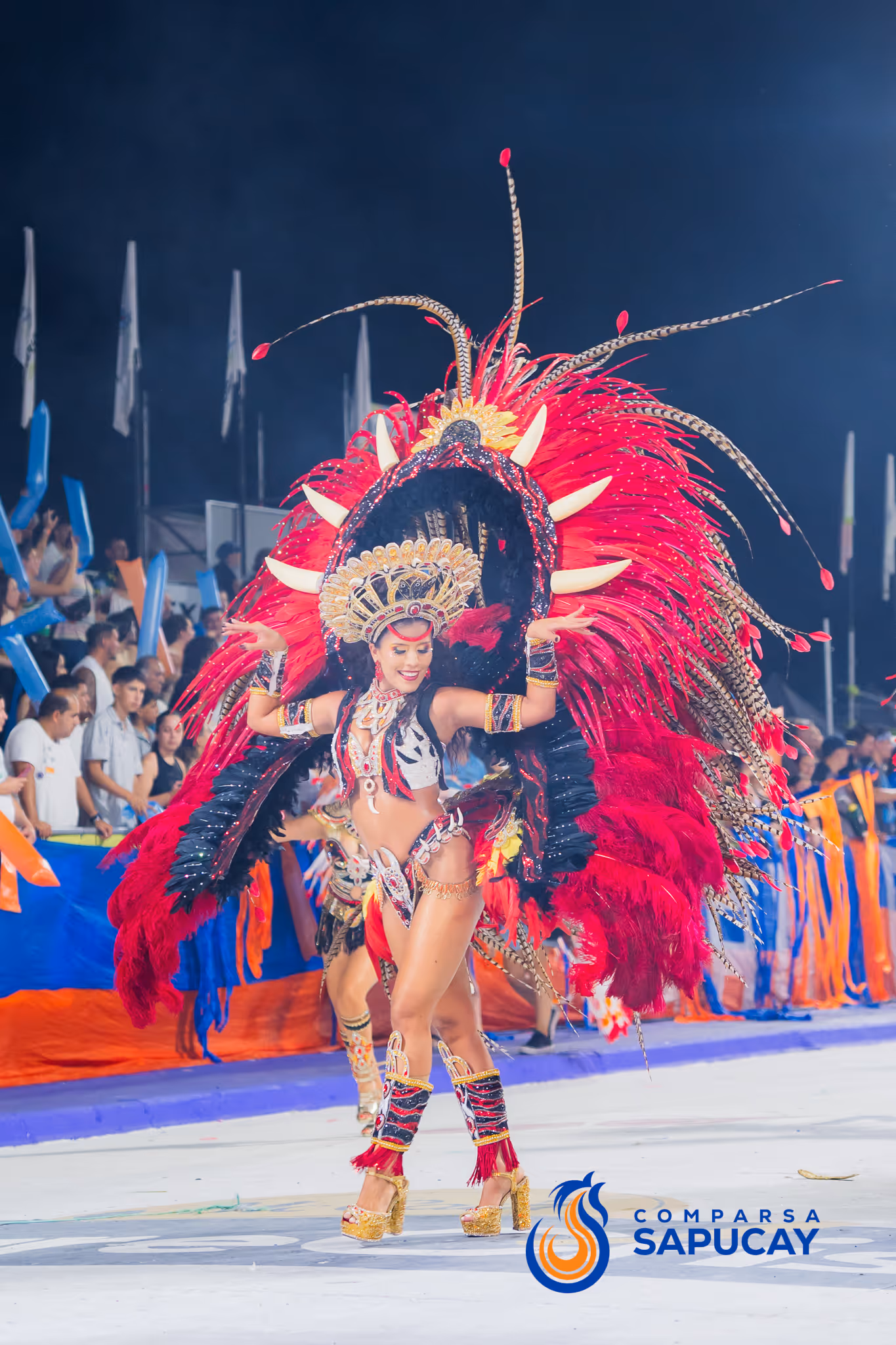 Galería de fotos del corso del Carnaval 2025