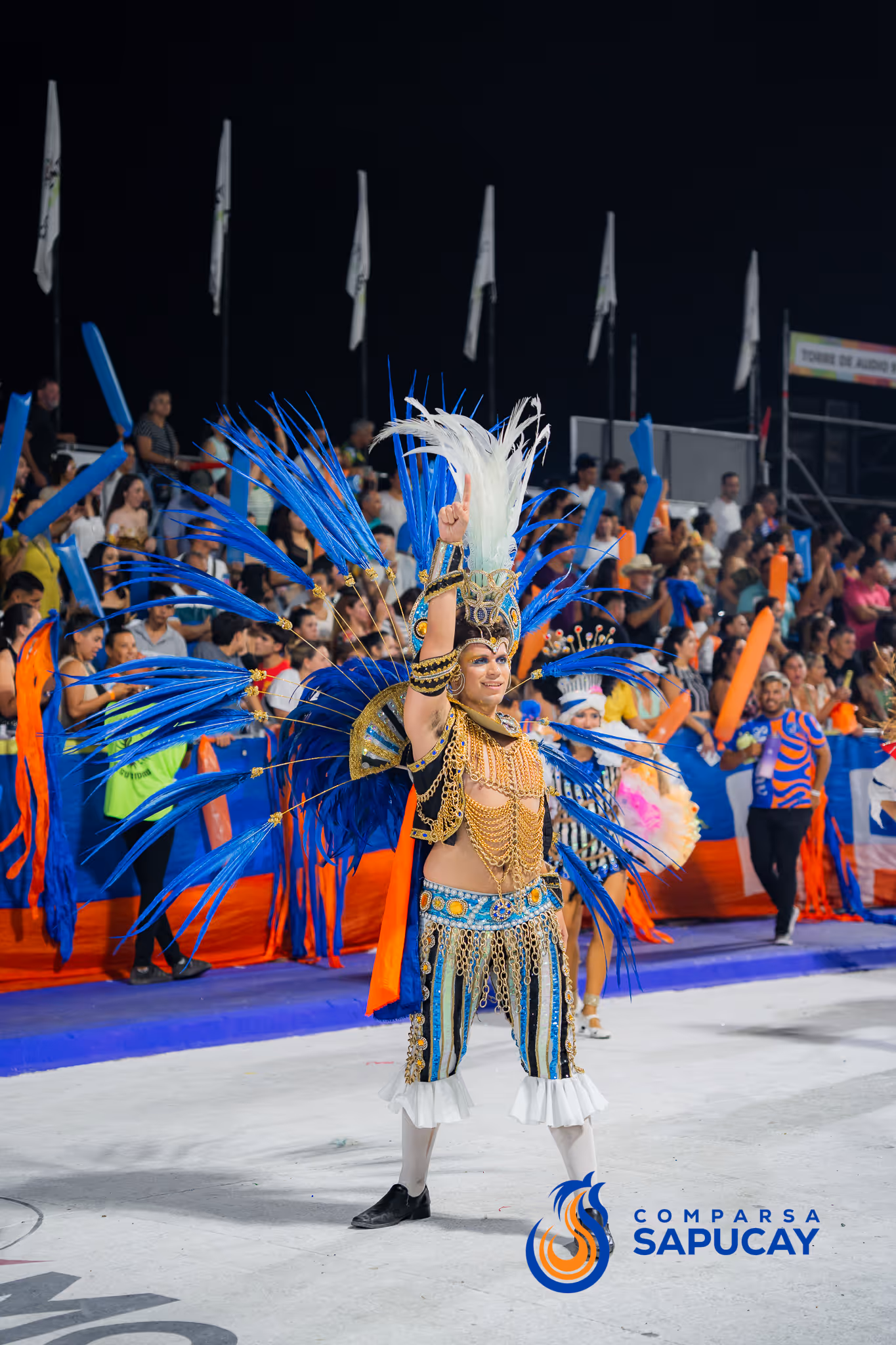 Galería de fotos del corso del Carnaval 2025