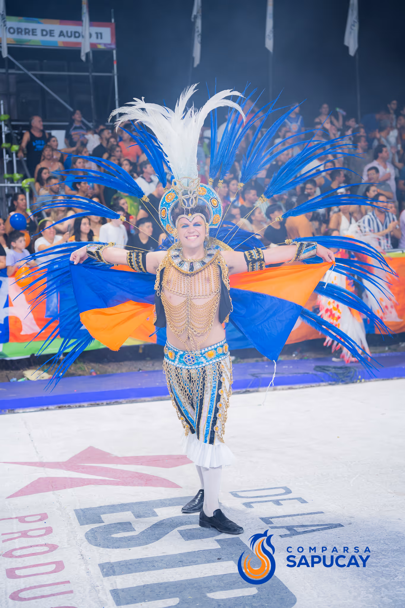 Galería de fotos del corso del Carnaval 2025