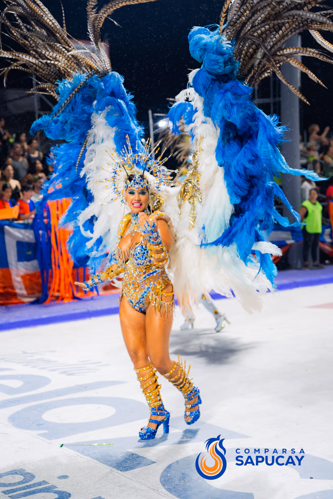 Galería de fotos del corso del Carnaval 2025