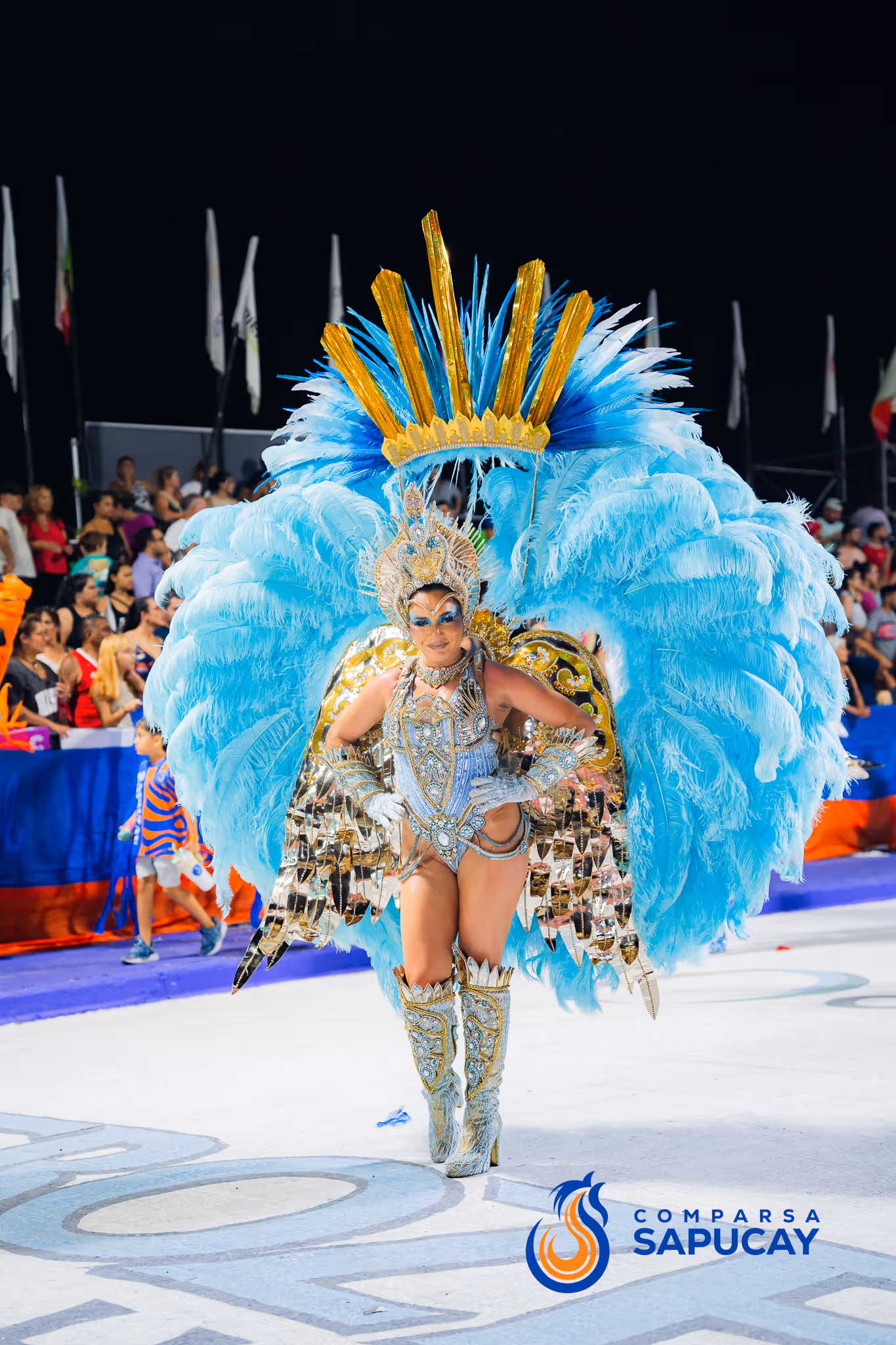 Galería de fotos del corso del Carnaval 2025