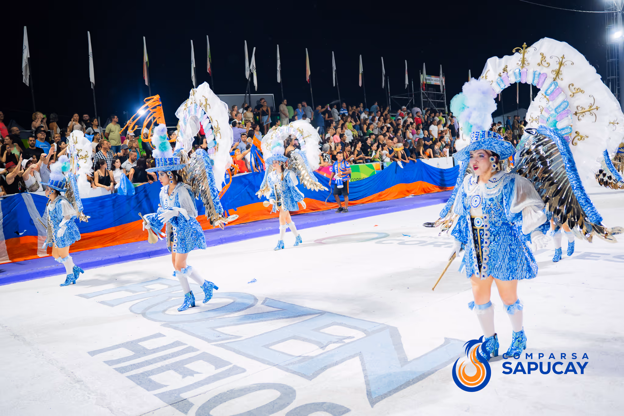 Galería de fotos del corso del Carnaval 2025