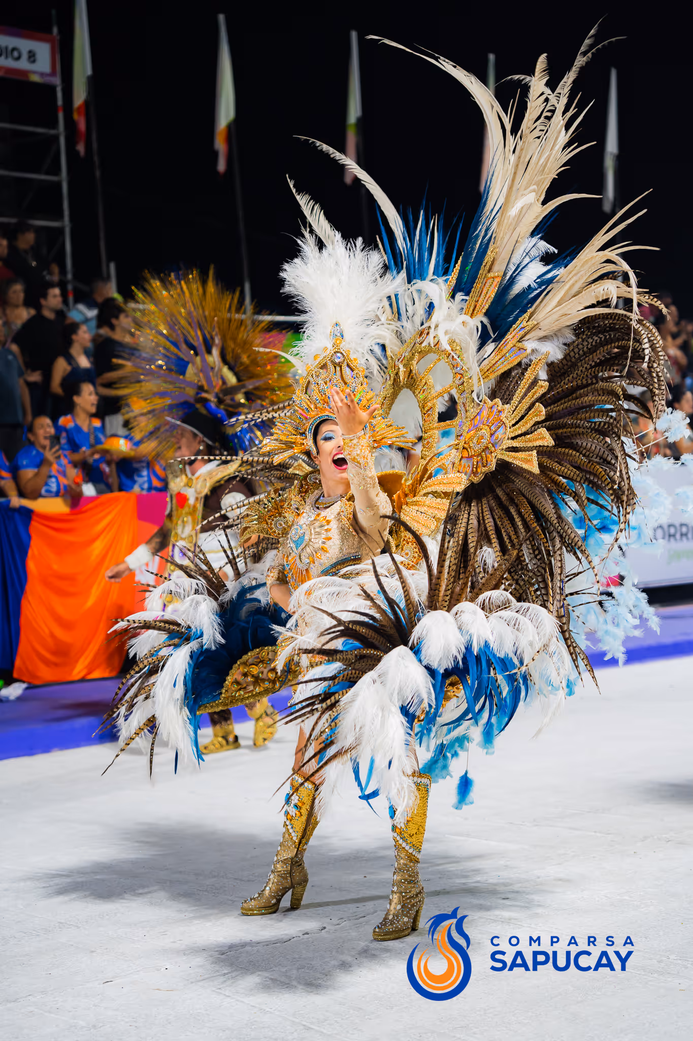 Galería de fotos del corso del Carnaval 2025