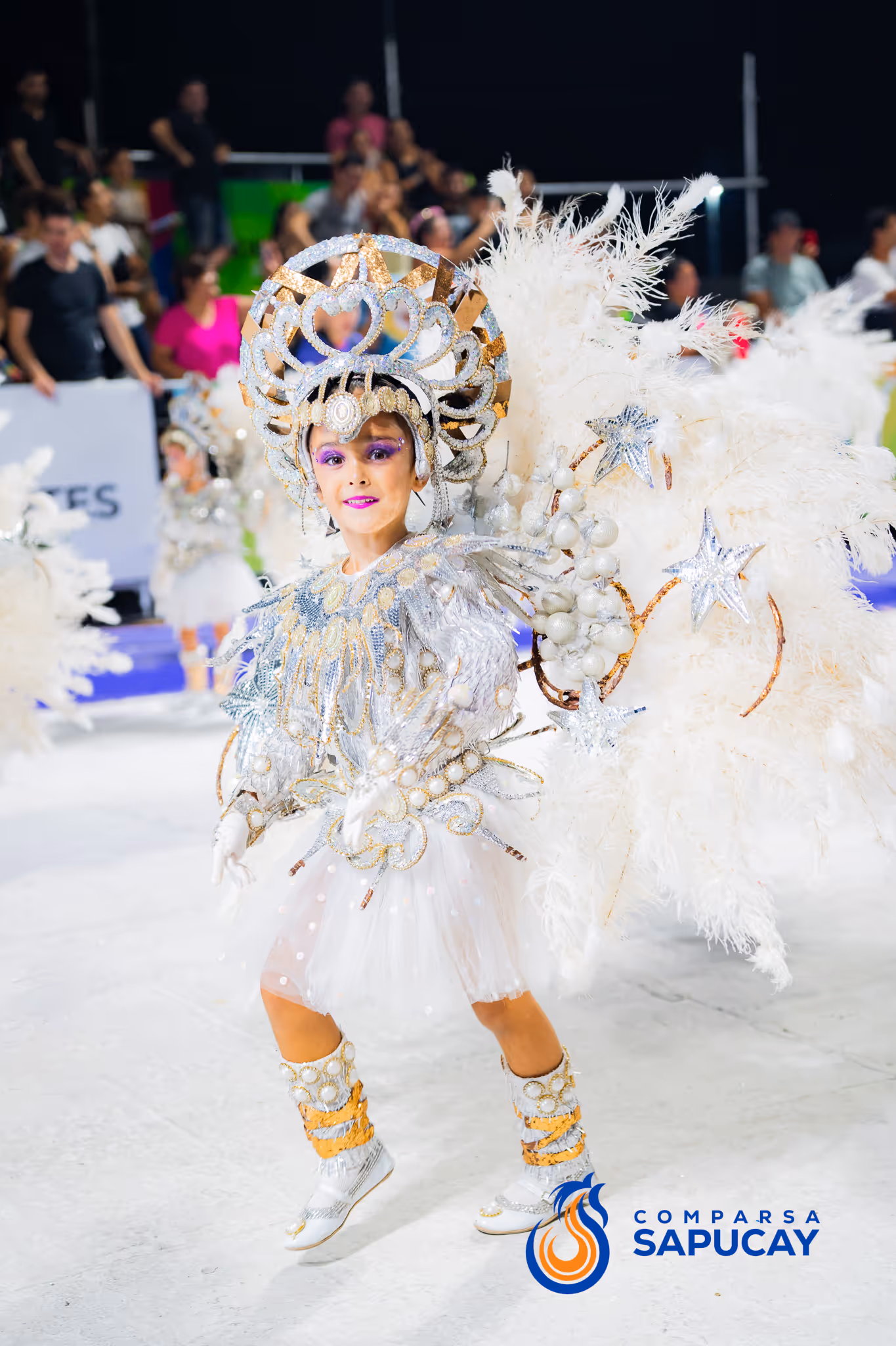 Galería de fotos del corso del Carnaval 2025