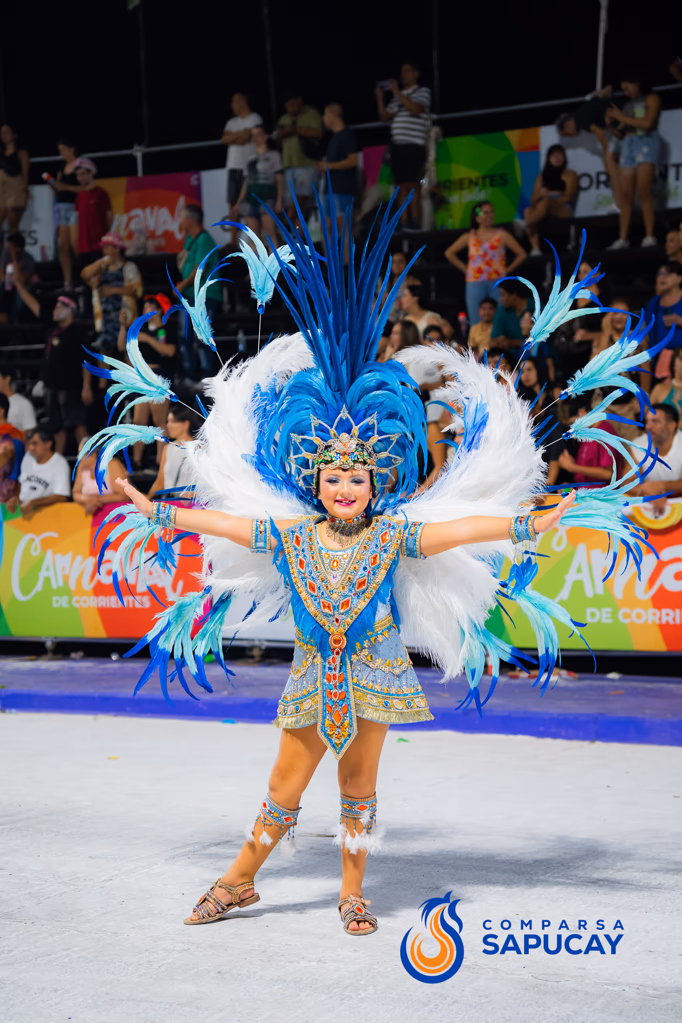 Galería de fotos del corso del Carnaval 2025