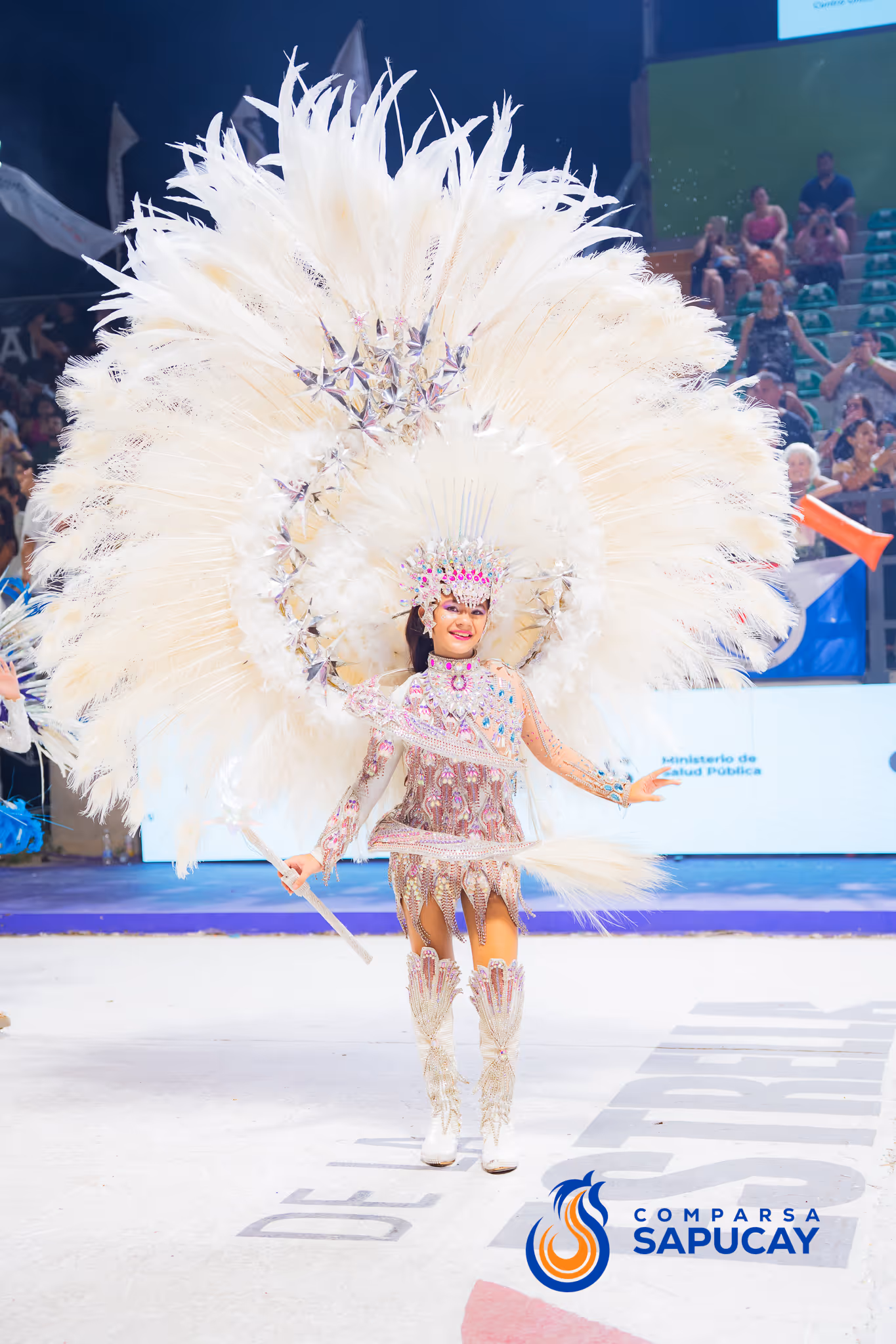 Galería de fotos del corso del Carnaval 2025