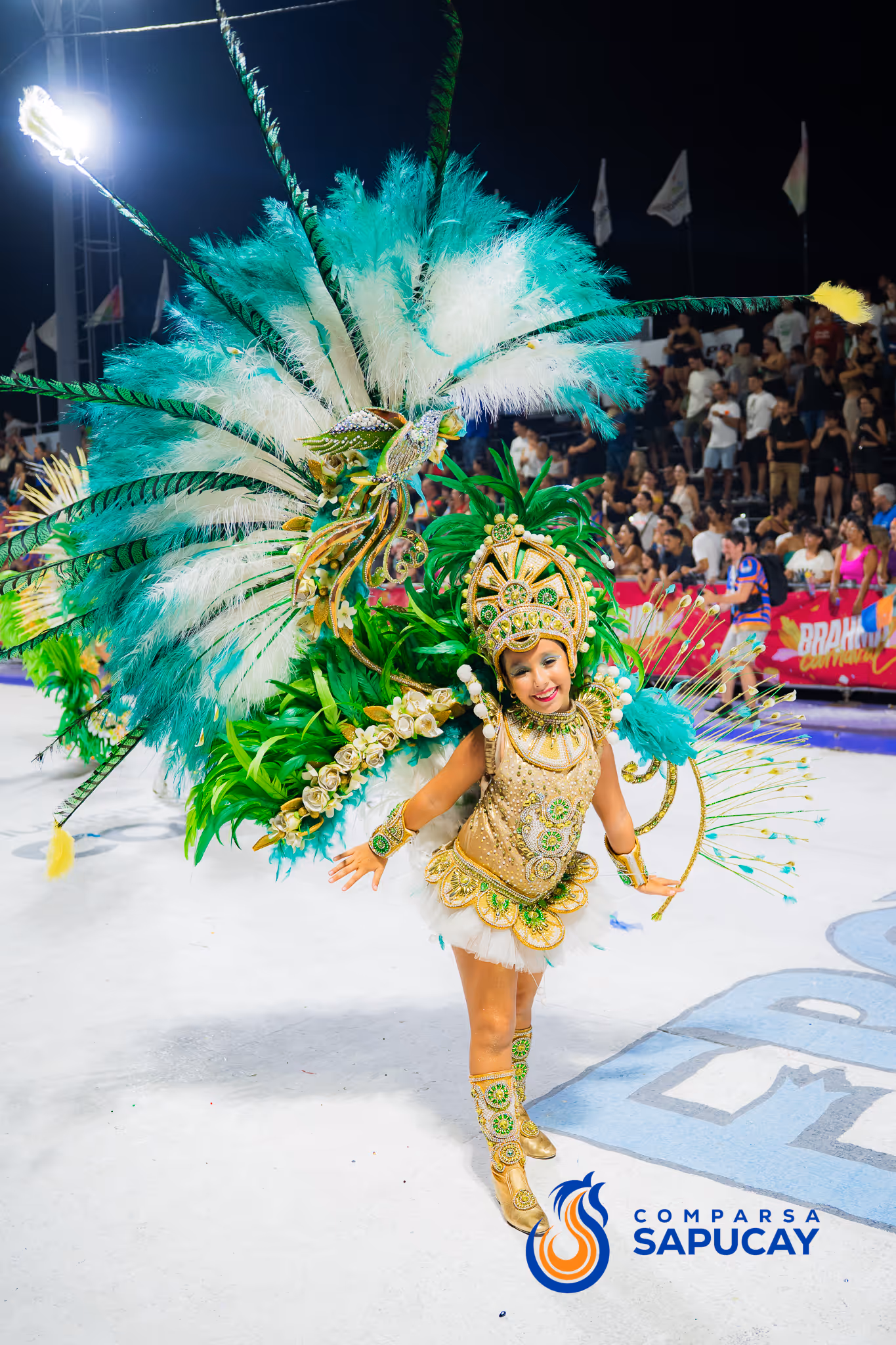 Galería de fotos del corso del Carnaval 2025