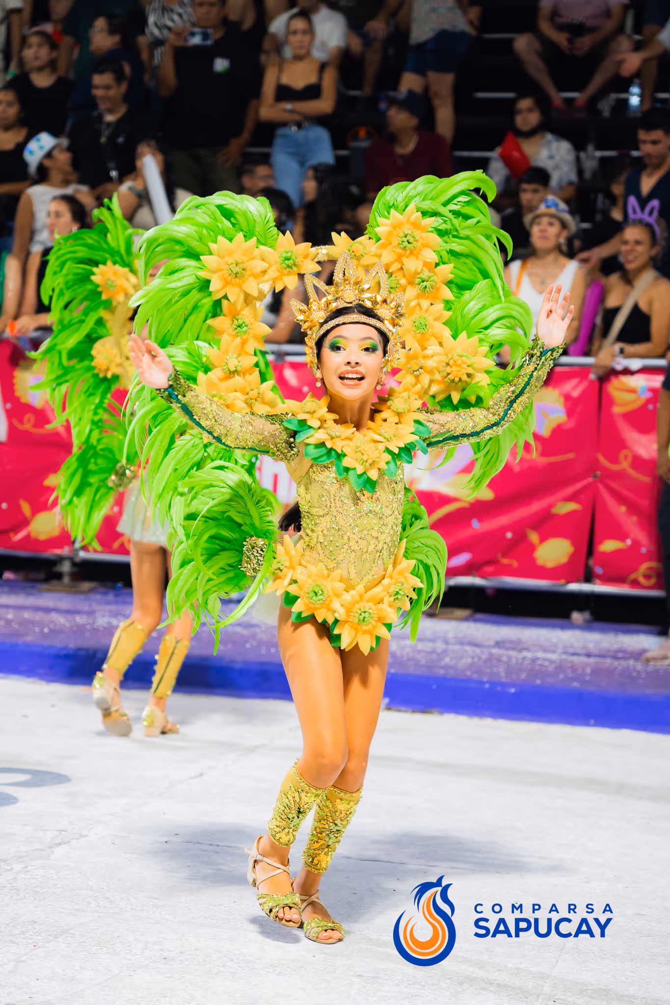 Galería de fotos del corso del Carnaval 2025