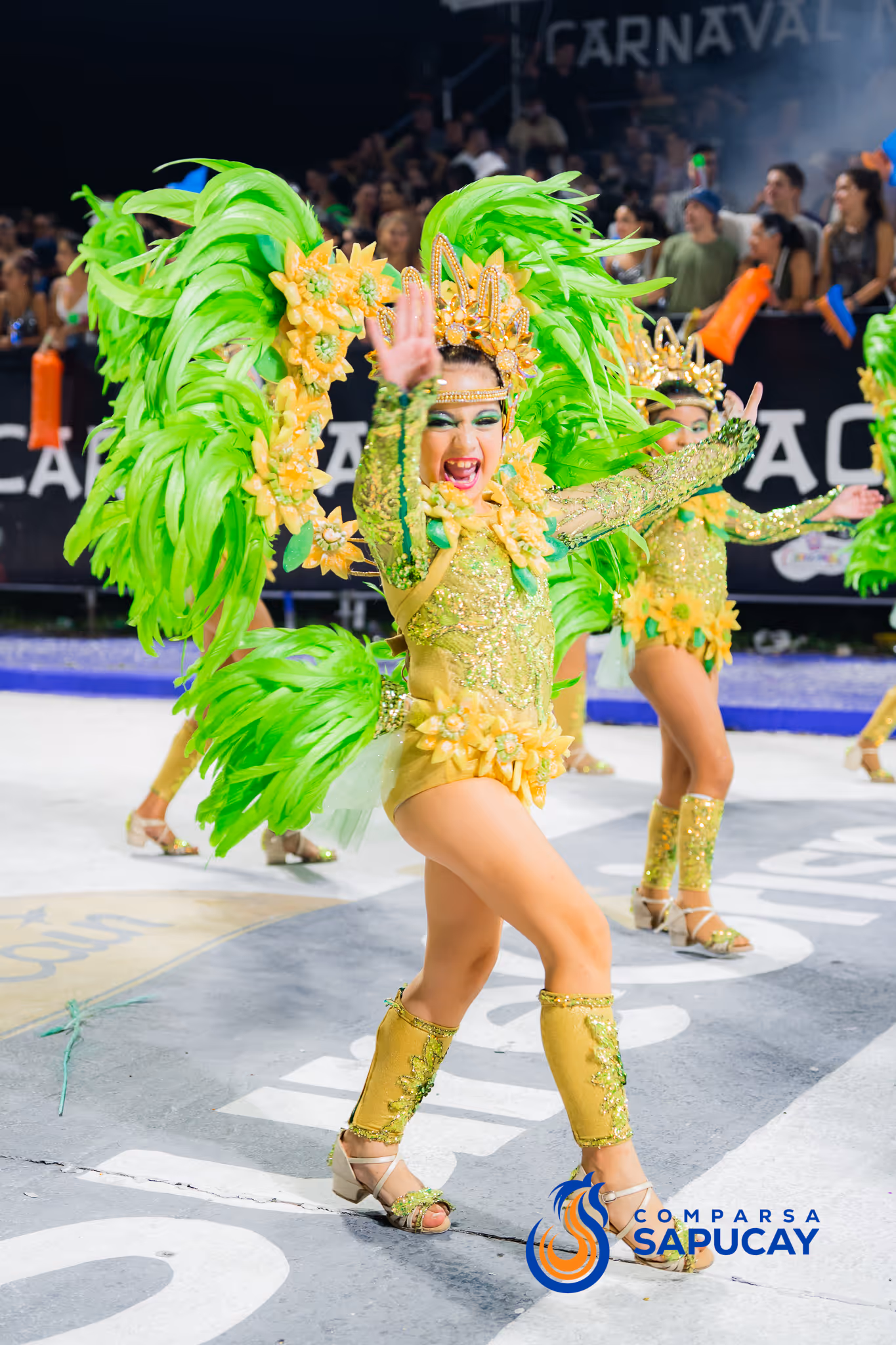 Galería de fotos del corso del Carnaval 2025
