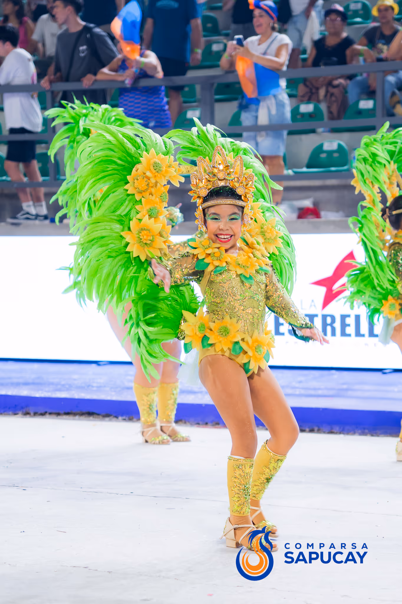 Galería de fotos del corso del Carnaval 2025