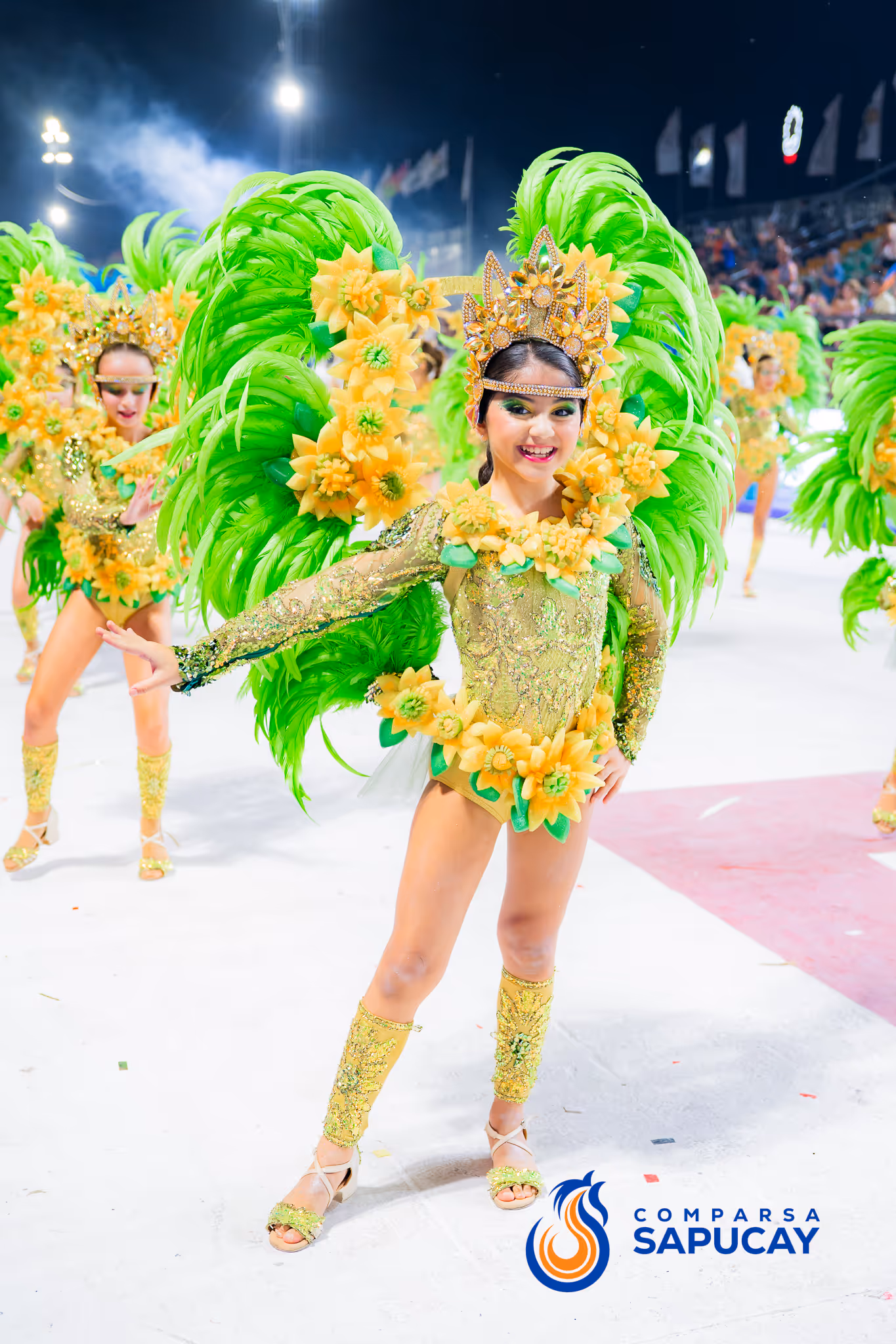 Galería de fotos del corso del Carnaval 2025