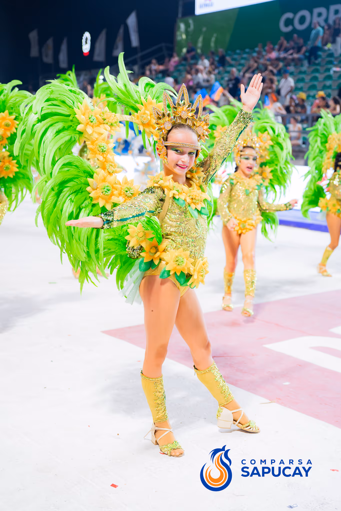 Galería de fotos del corso del Carnaval 2025