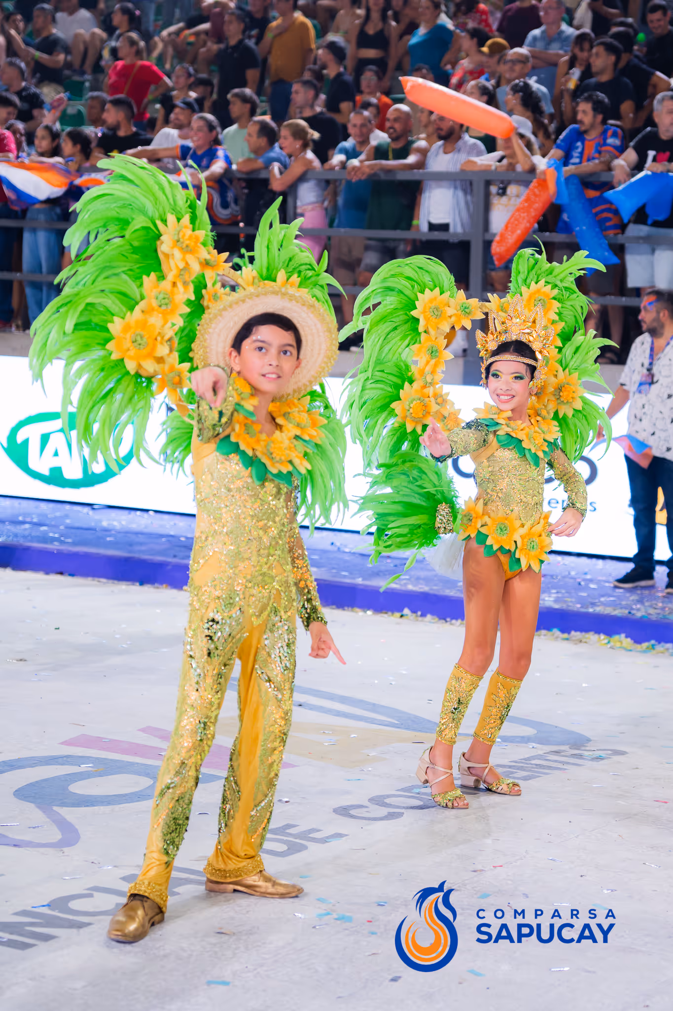 Galería de fotos del corso del Carnaval 2025