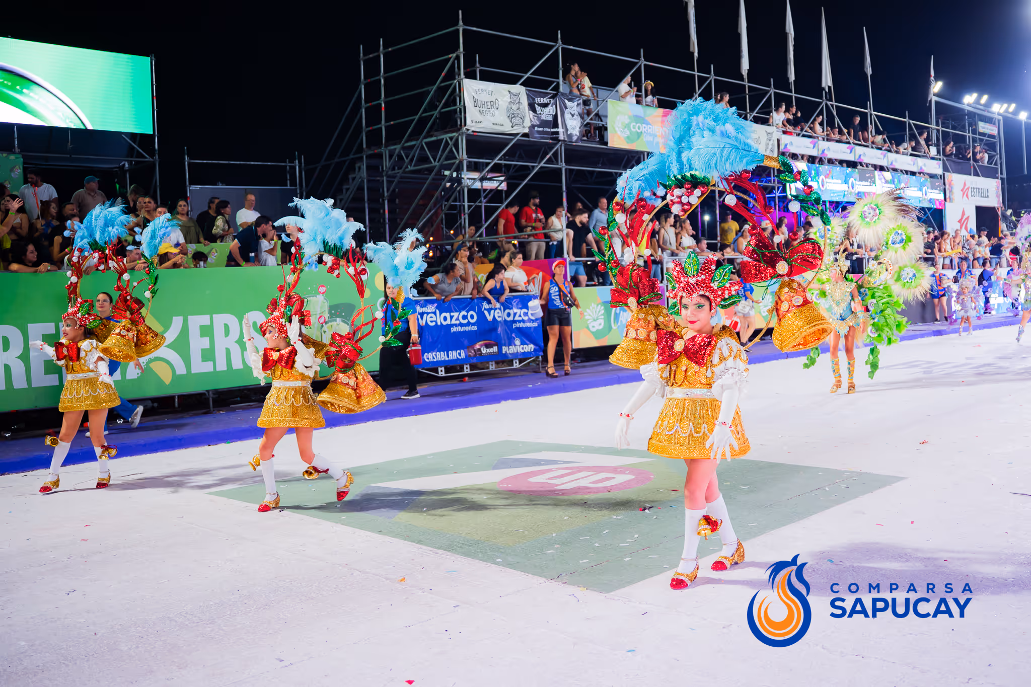 Galería de fotos del corso del Carnaval 2025