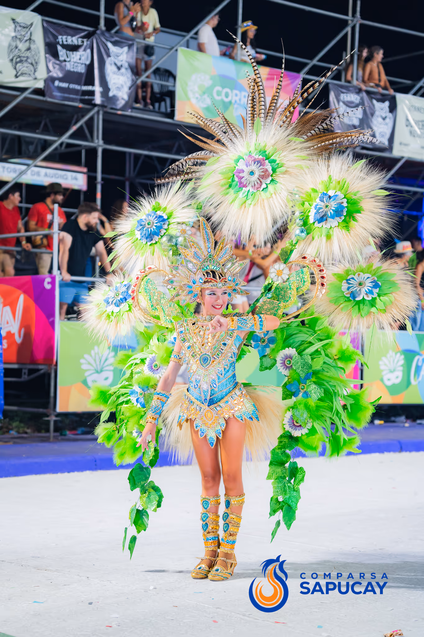 Galería de fotos del corso del Carnaval 2025