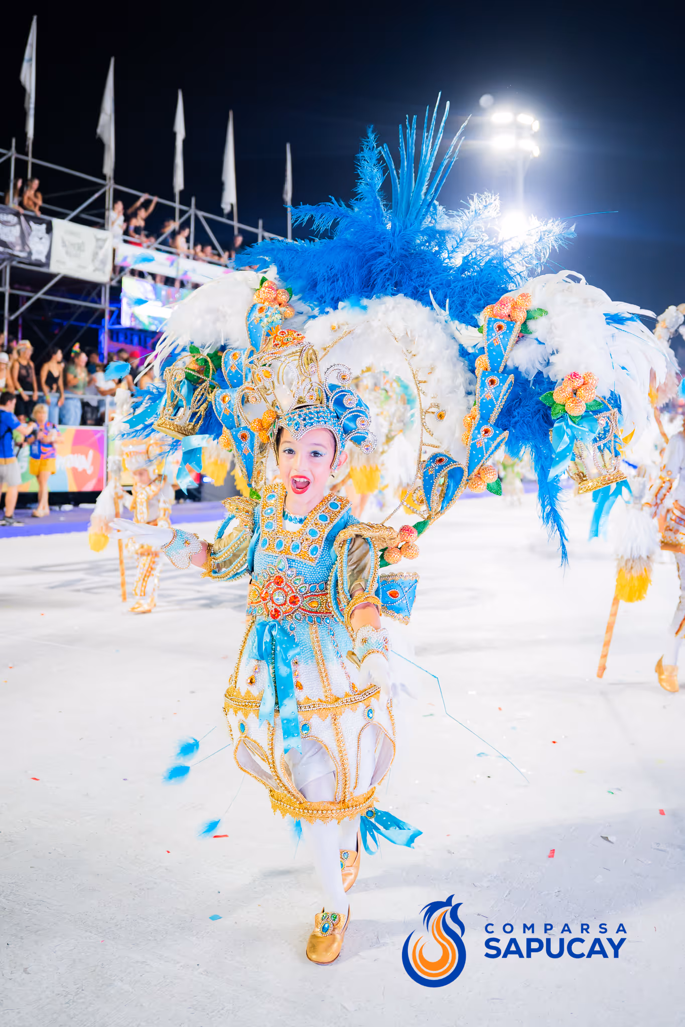 Galería de fotos del corso del Carnaval 2025