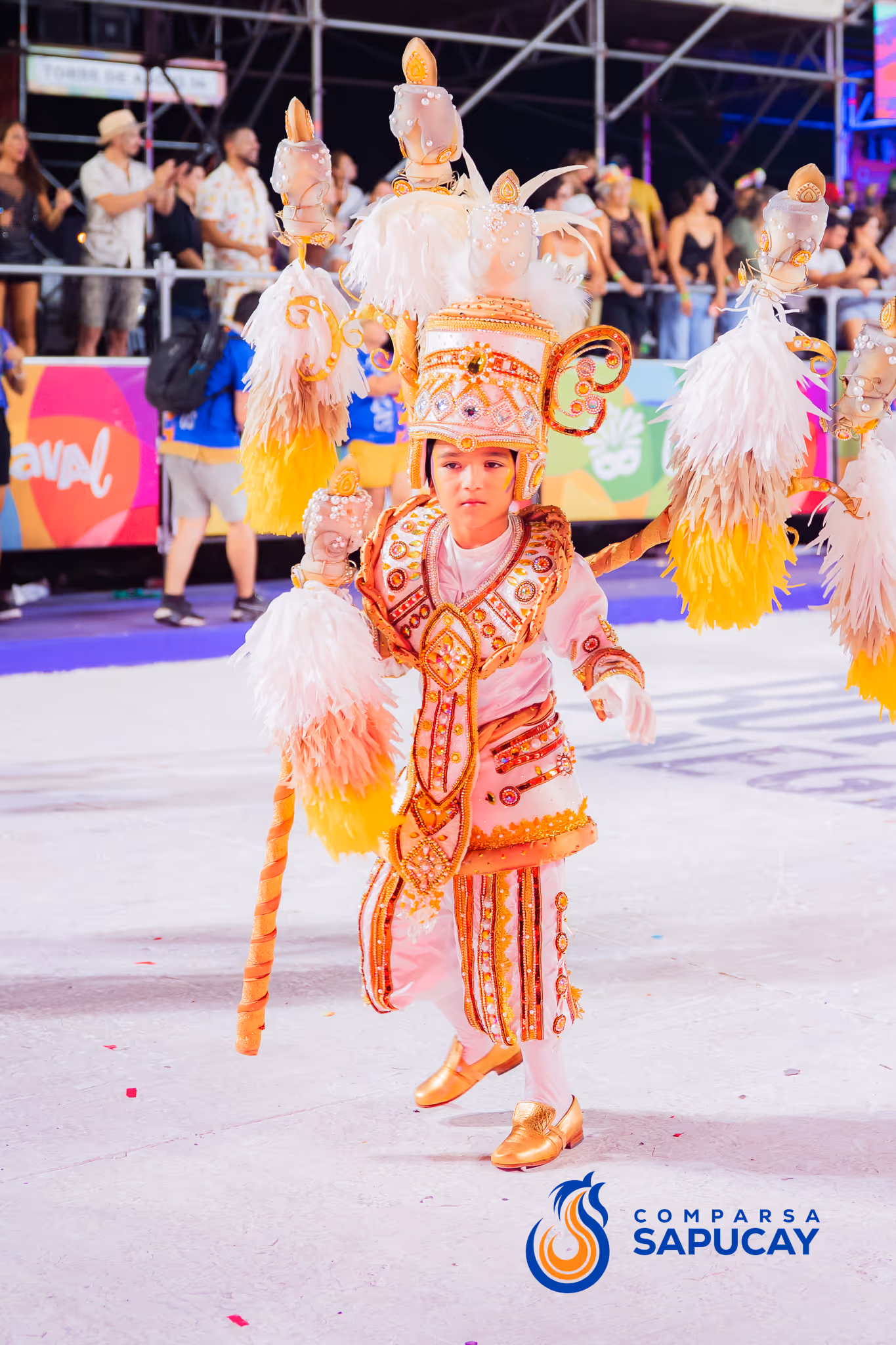 Galería de fotos del corso del Carnaval 2025
