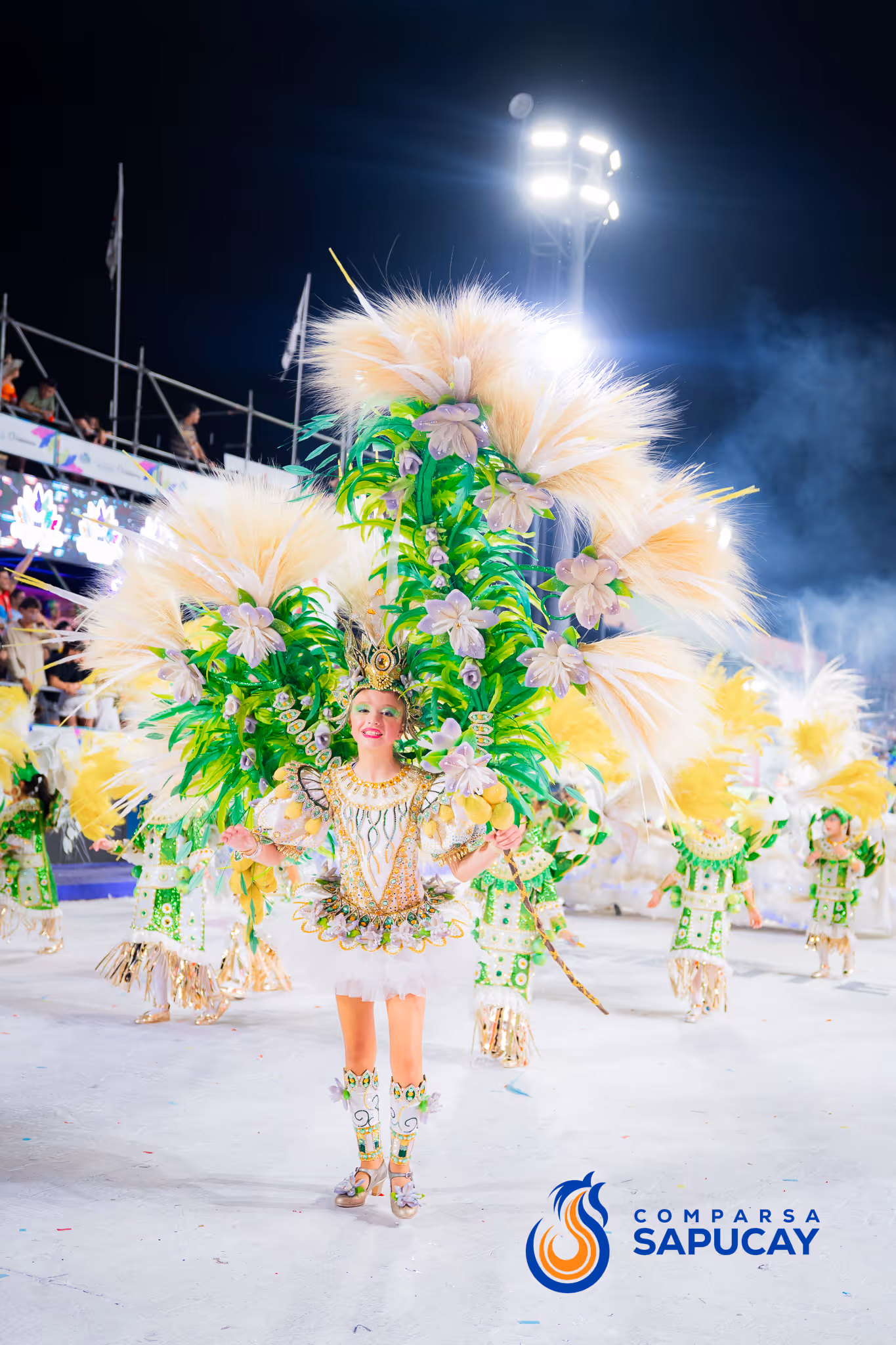 Galería de fotos del corso del Carnaval 2025