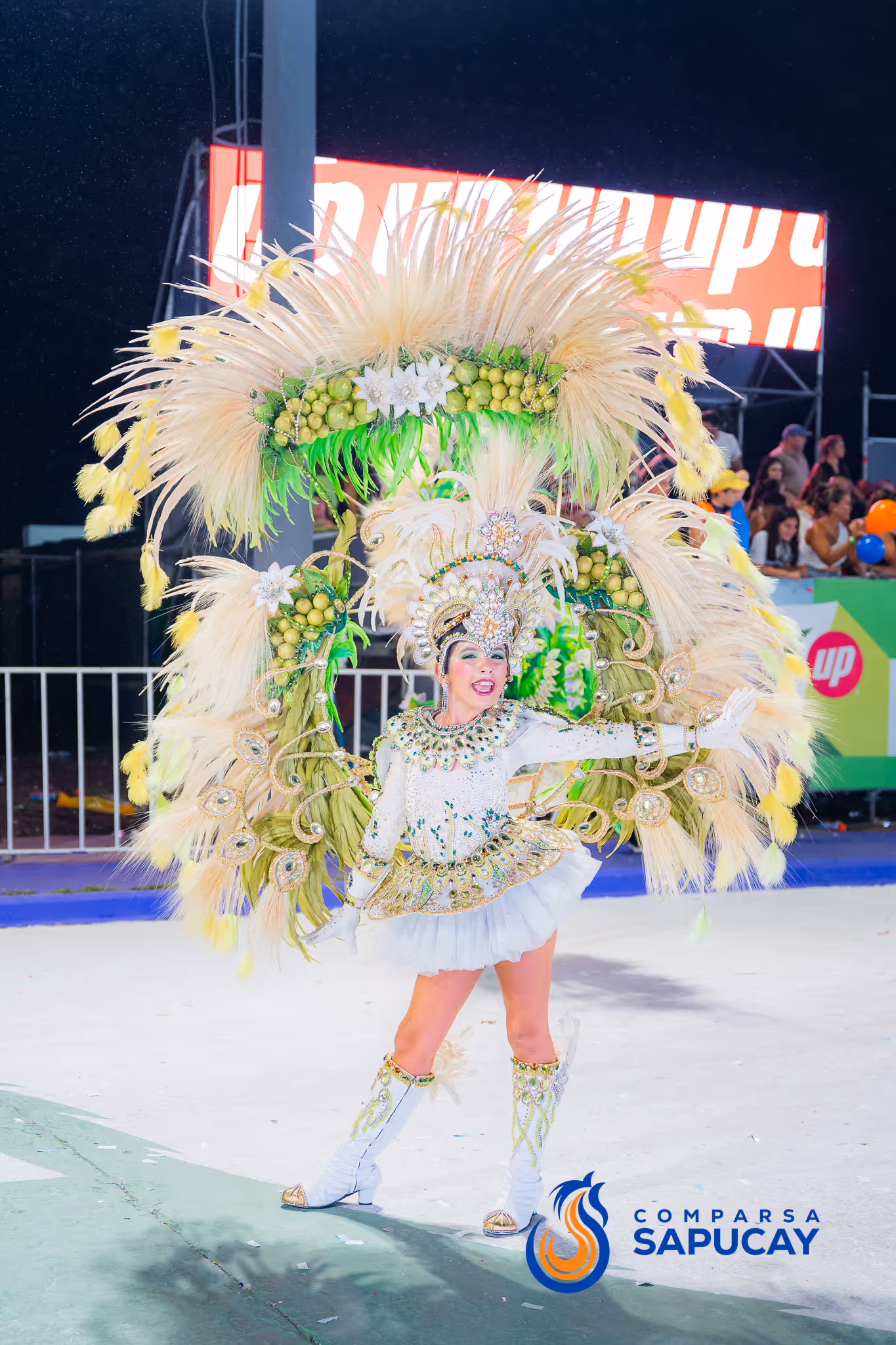 Galería de fotos del corso del Carnaval 2025