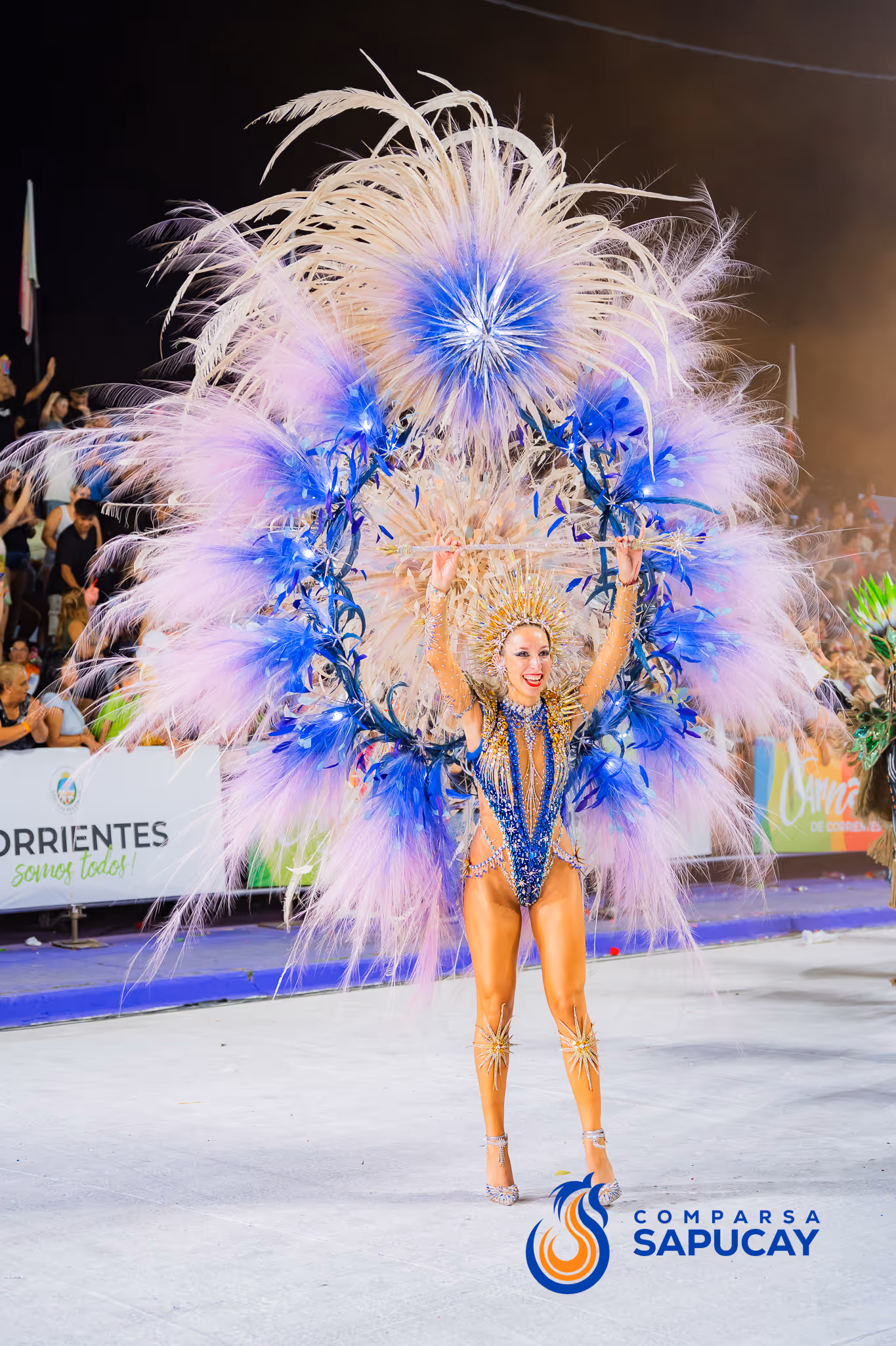 Galería de fotos del corso del Carnaval 2025