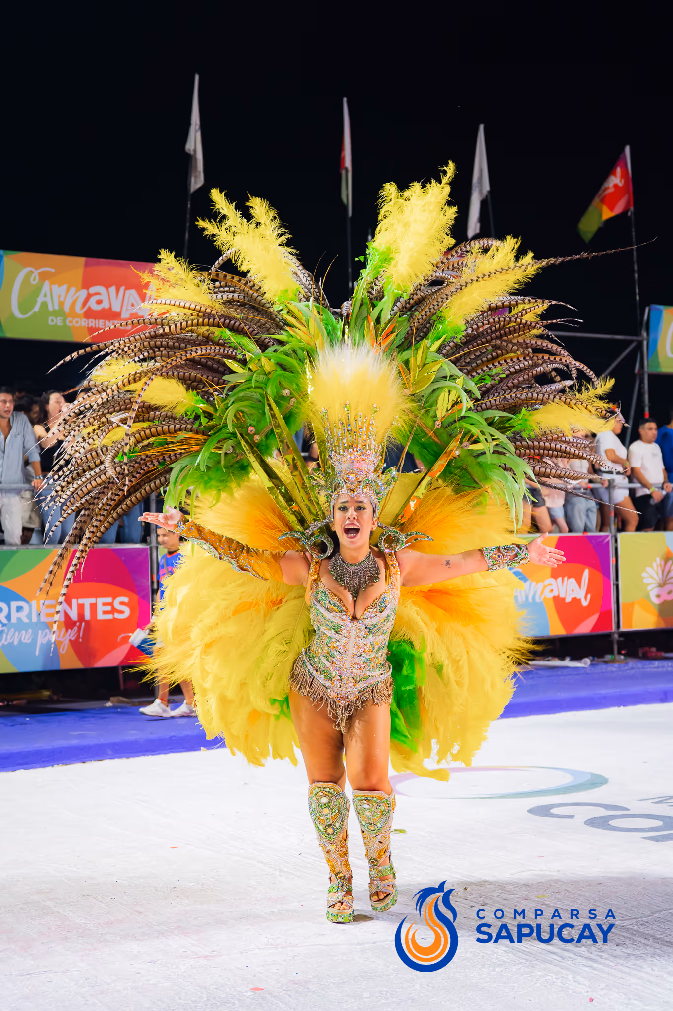 Galería de fotos del corso del Carnaval 2025