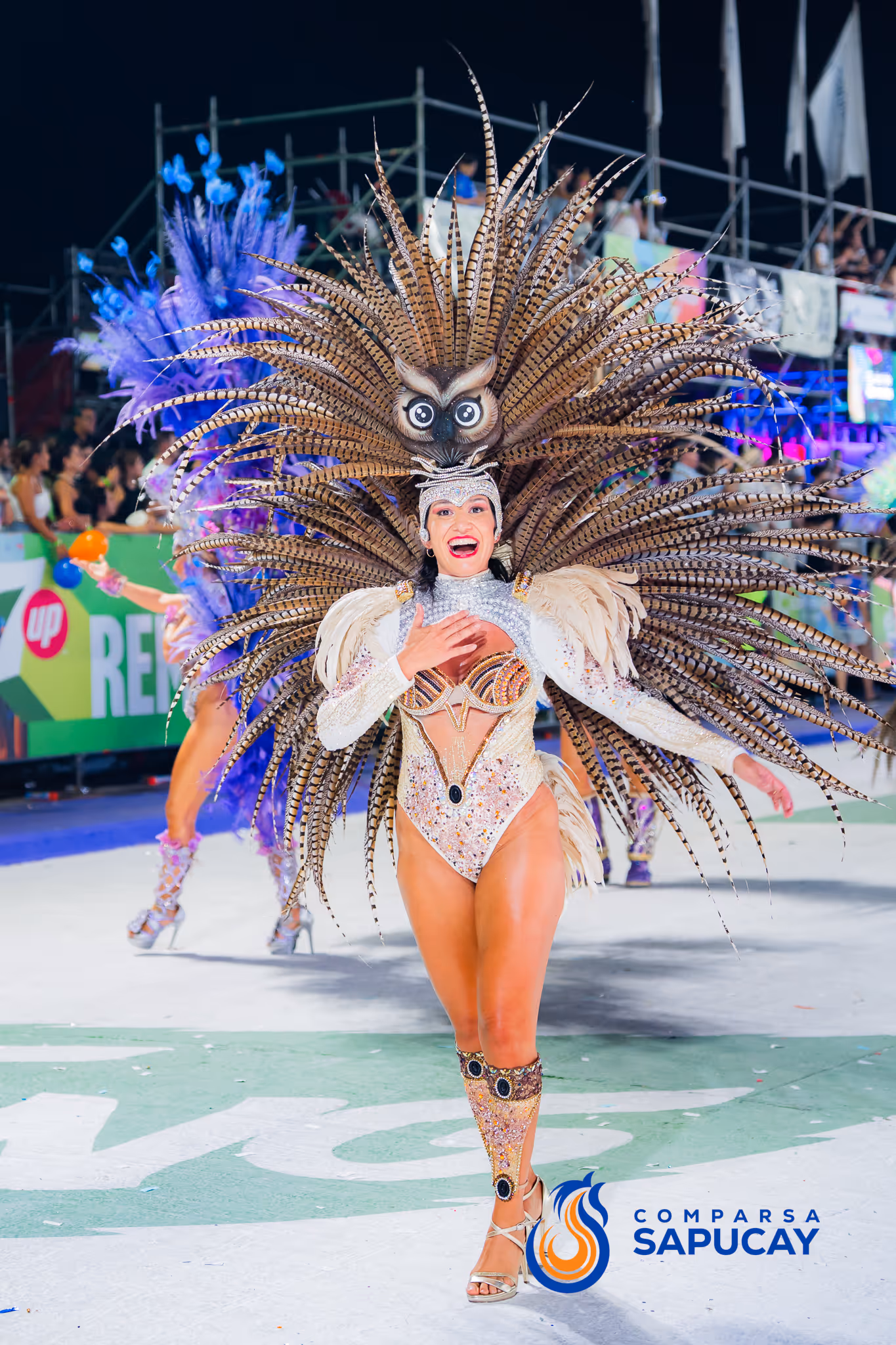 Galería de fotos del corso del Carnaval 2025