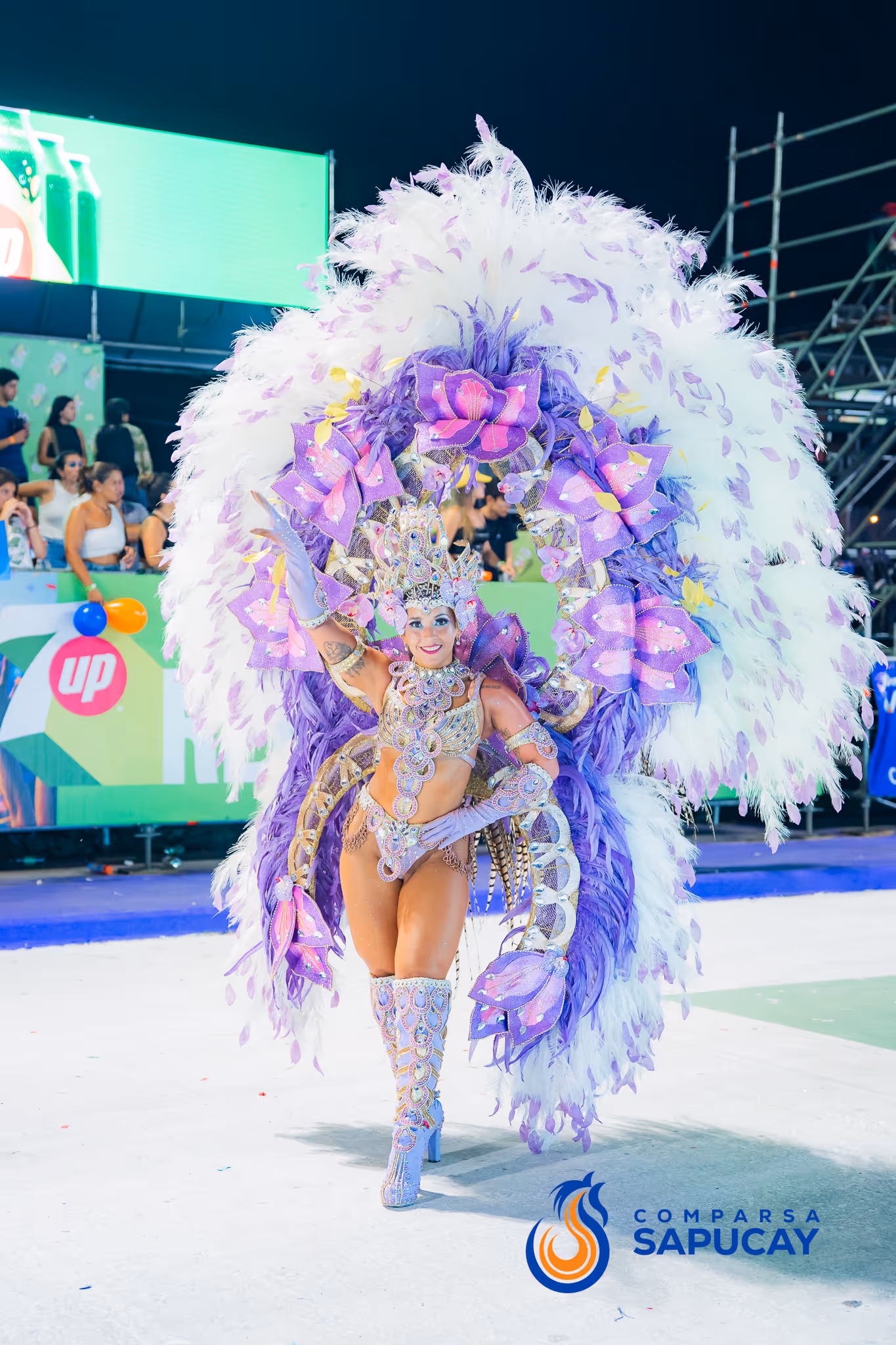 Galería de fotos del corso del Carnaval 2025