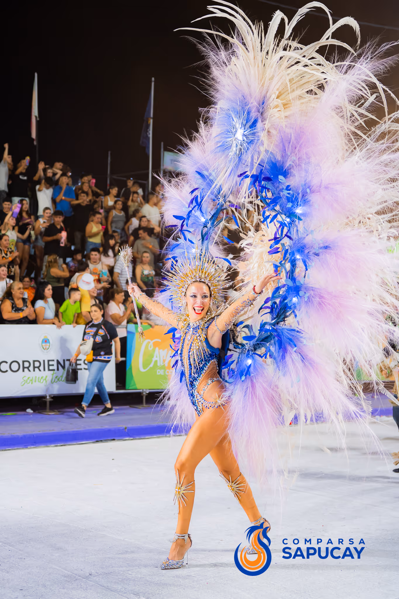 Galería de fotos del corso del Carnaval 2025