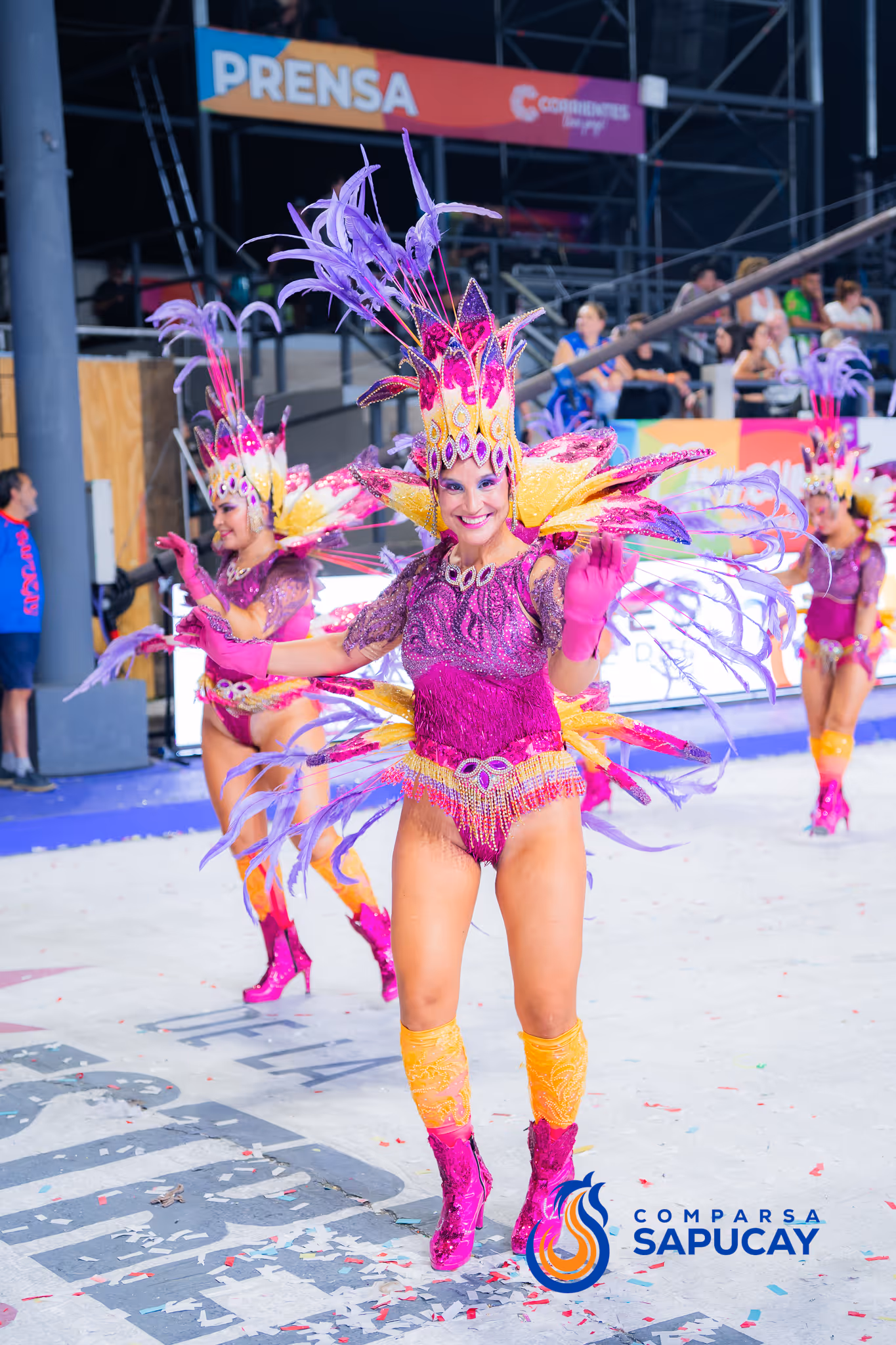 Galería de fotos del corso del Carnaval 2025