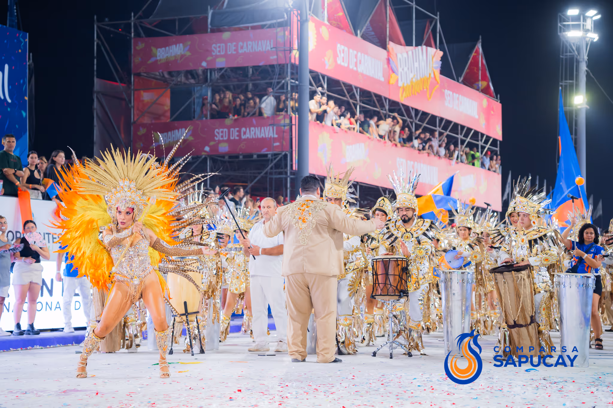 Galería de fotos del corso del Carnaval 2025