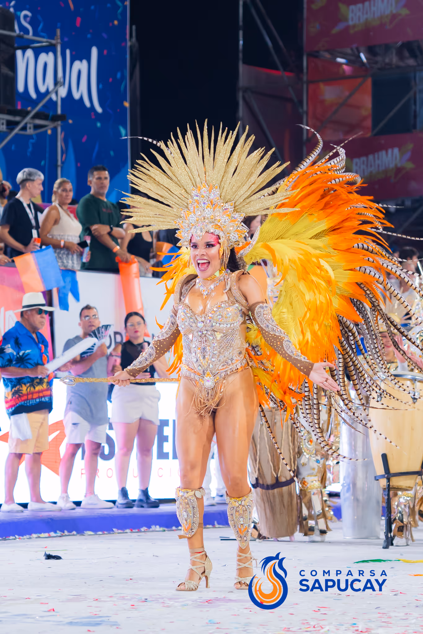 Galería de fotos del corso del Carnaval 2025