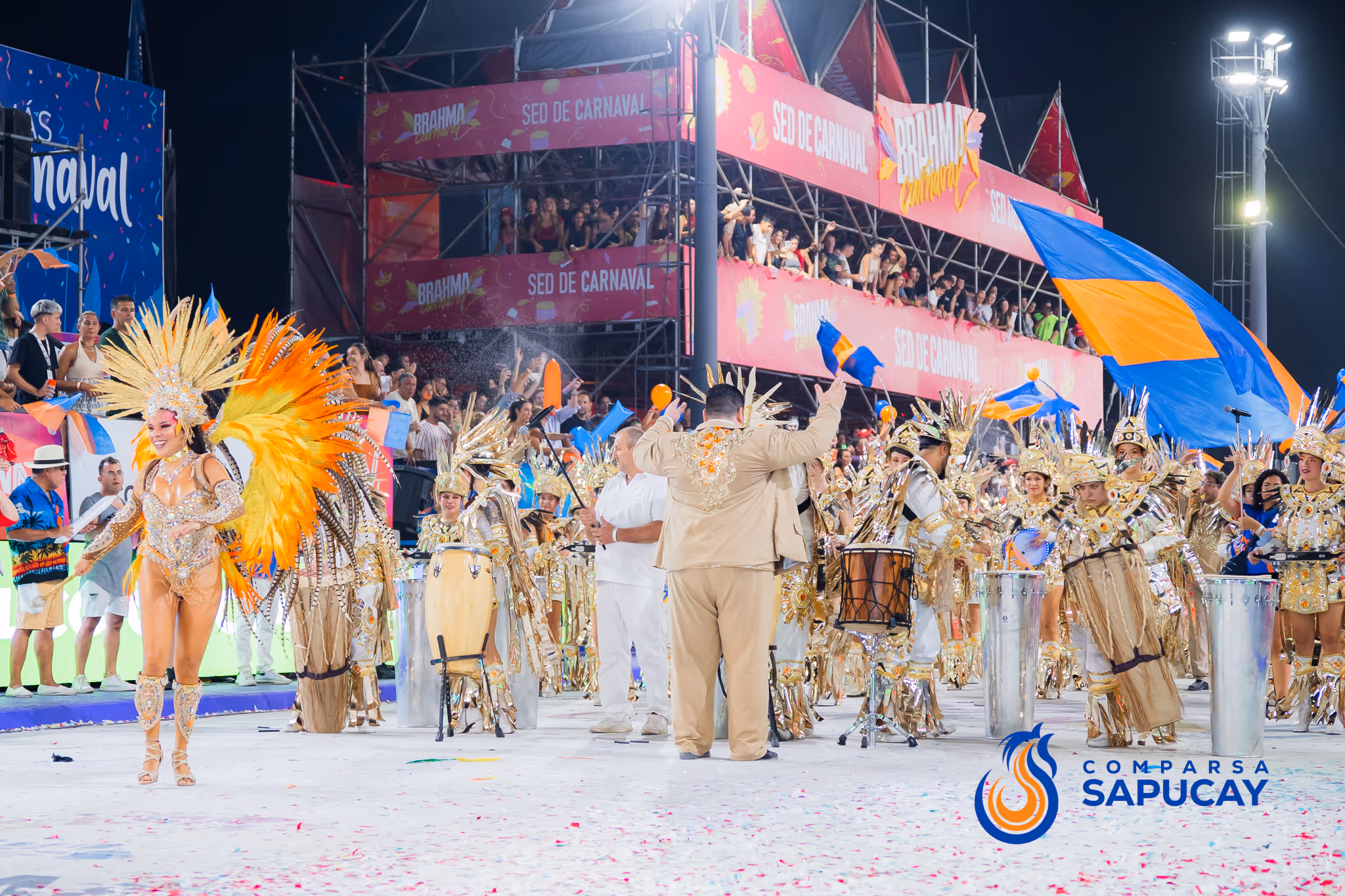 Galería de fotos del corso del Carnaval 2025