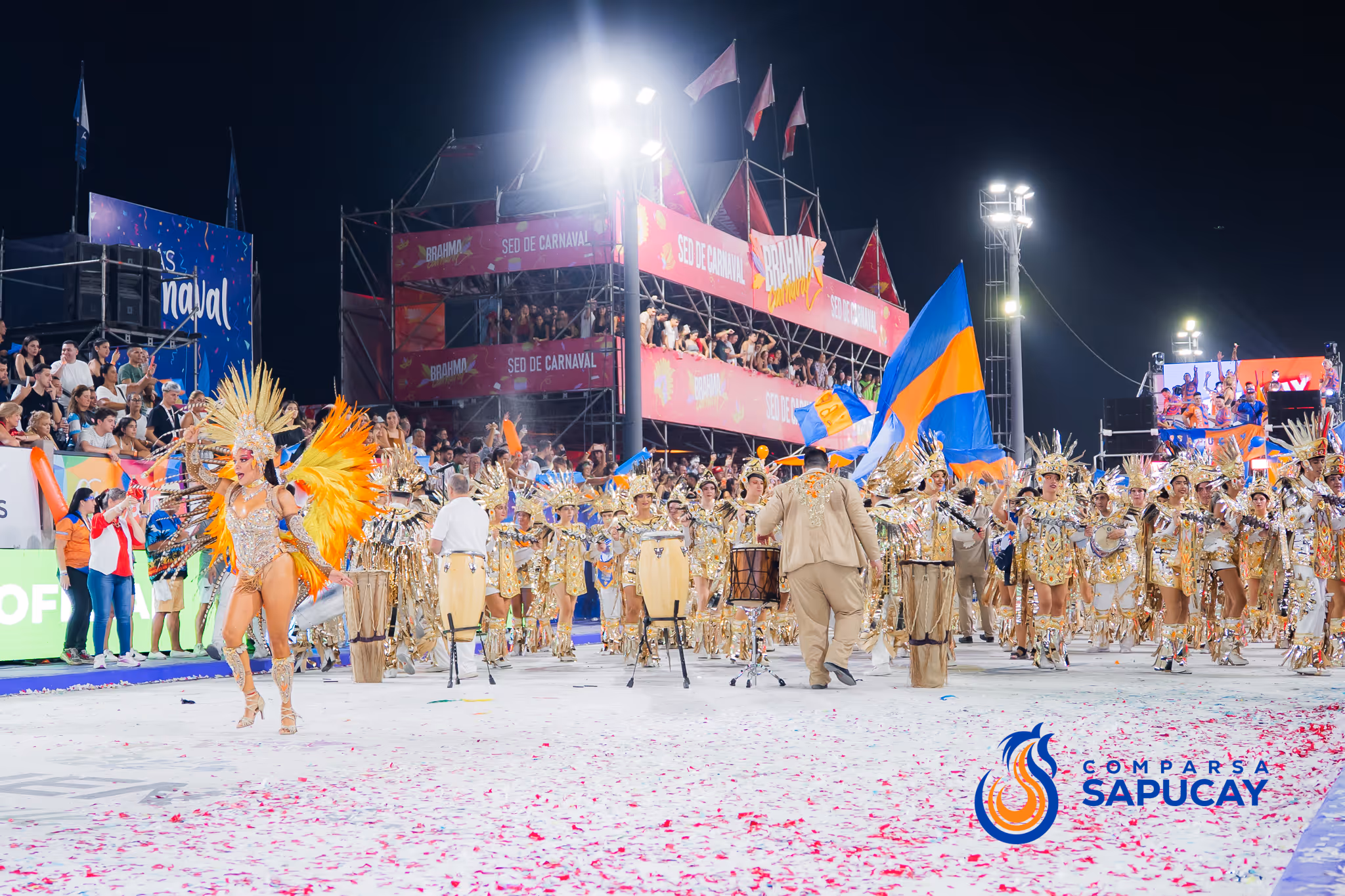 Galería de fotos del corso del Carnaval 2025
