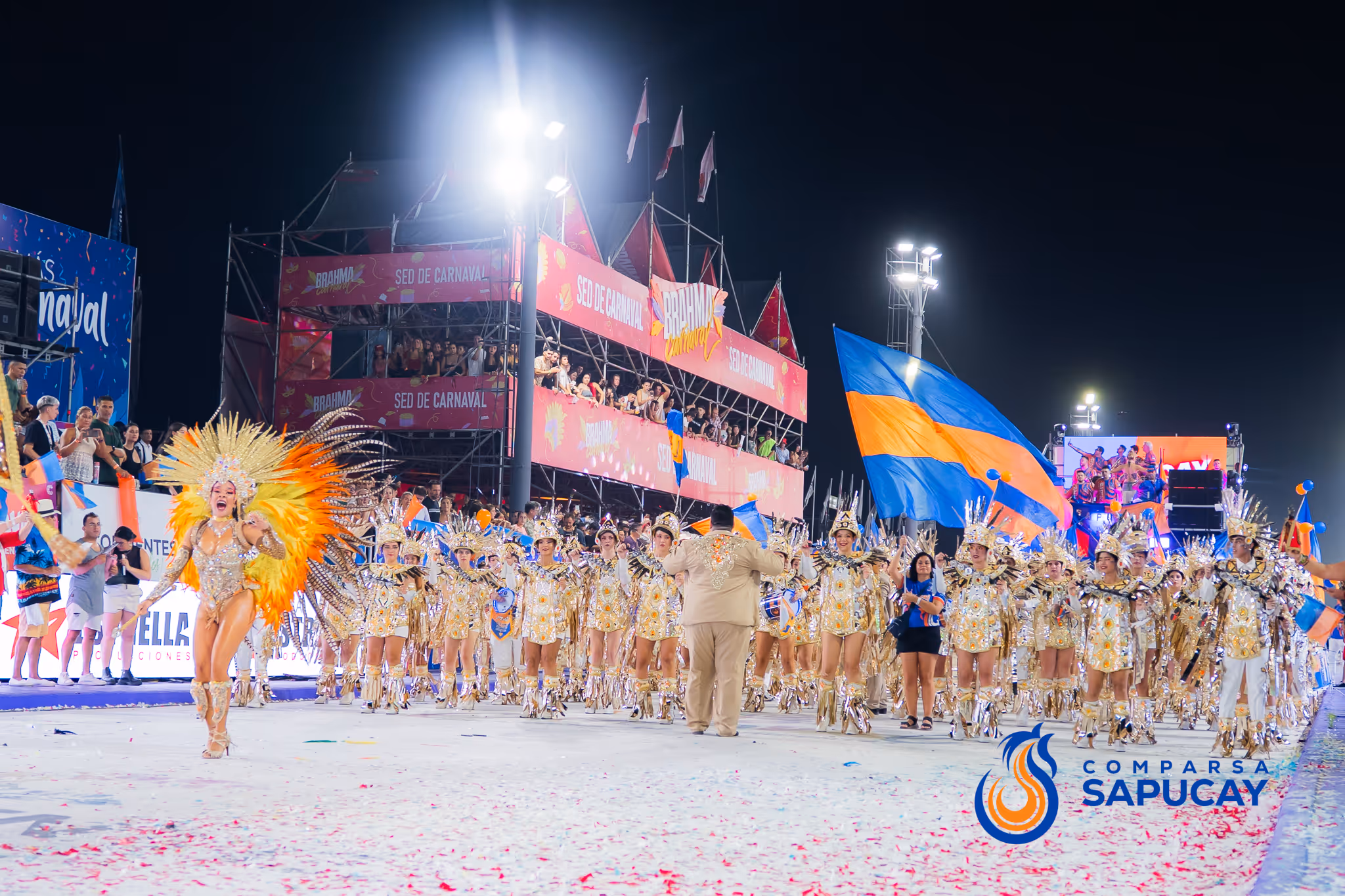 Galería de fotos del corso del Carnaval 2025