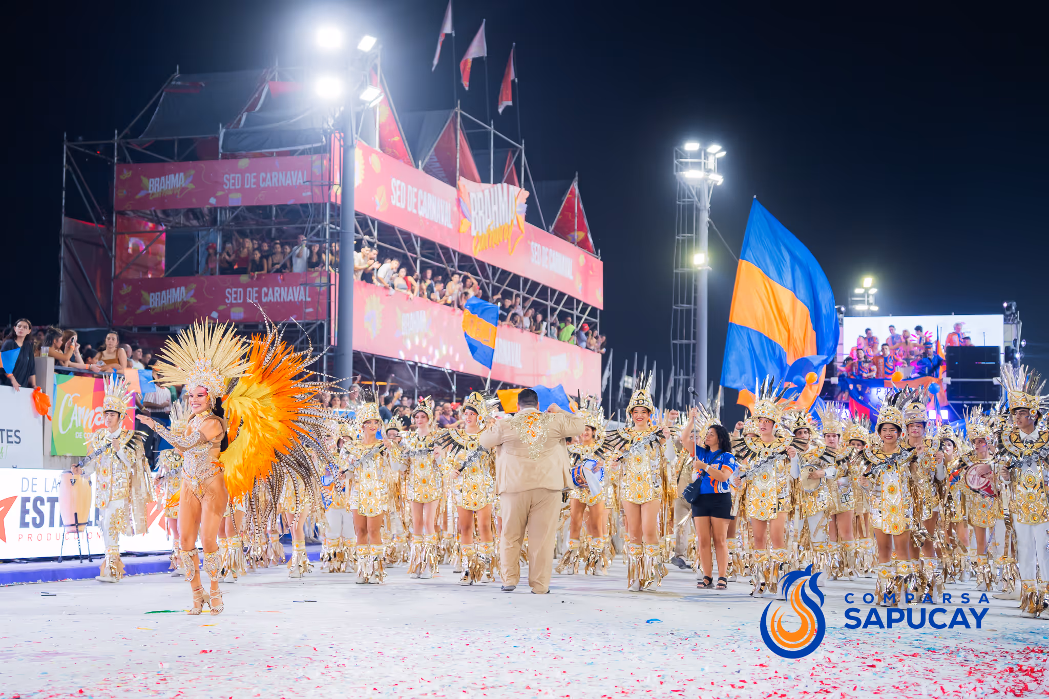 Galería de fotos del corso del Carnaval 2025