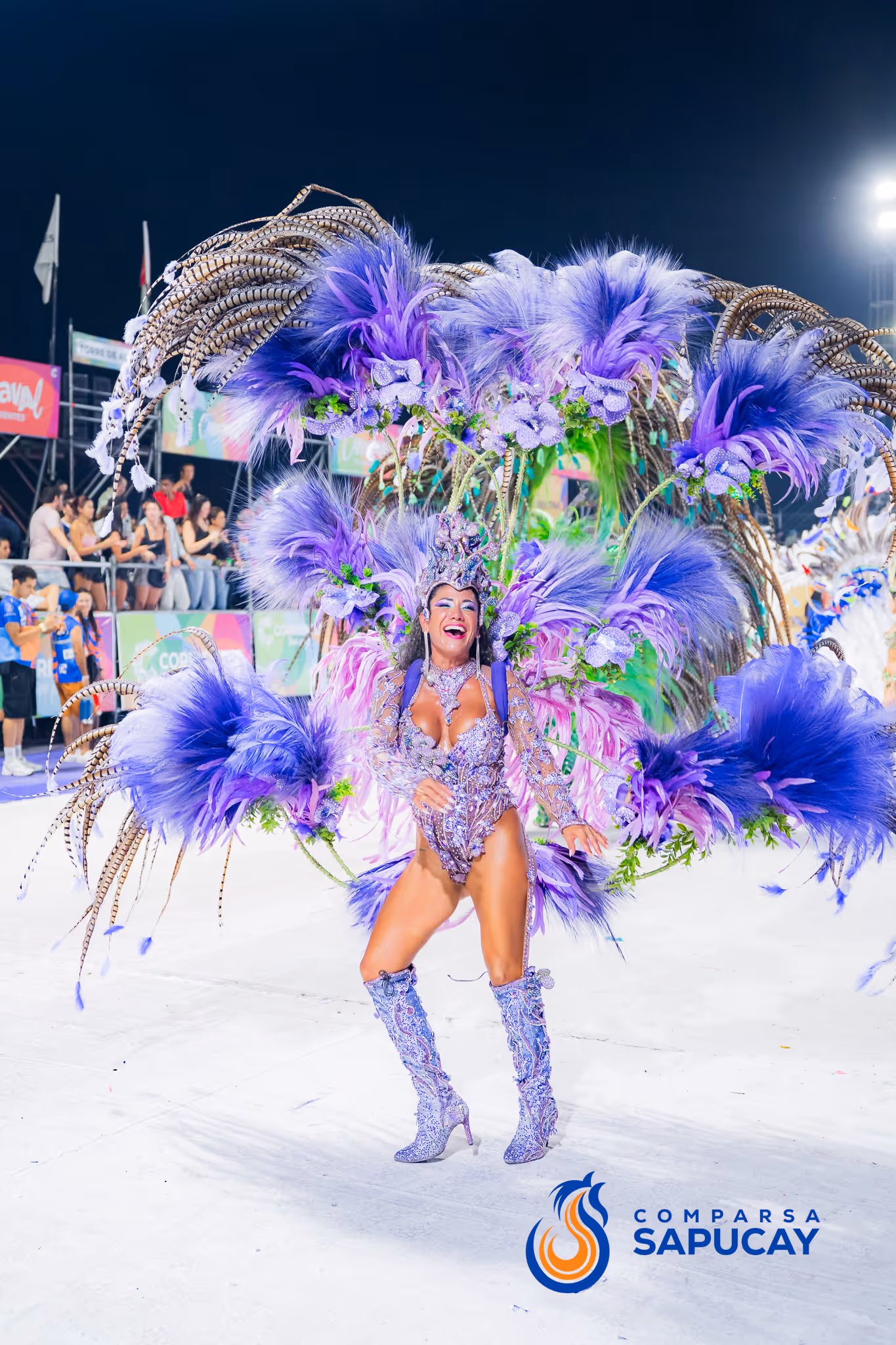 Galería de fotos del corso del Carnaval 2025