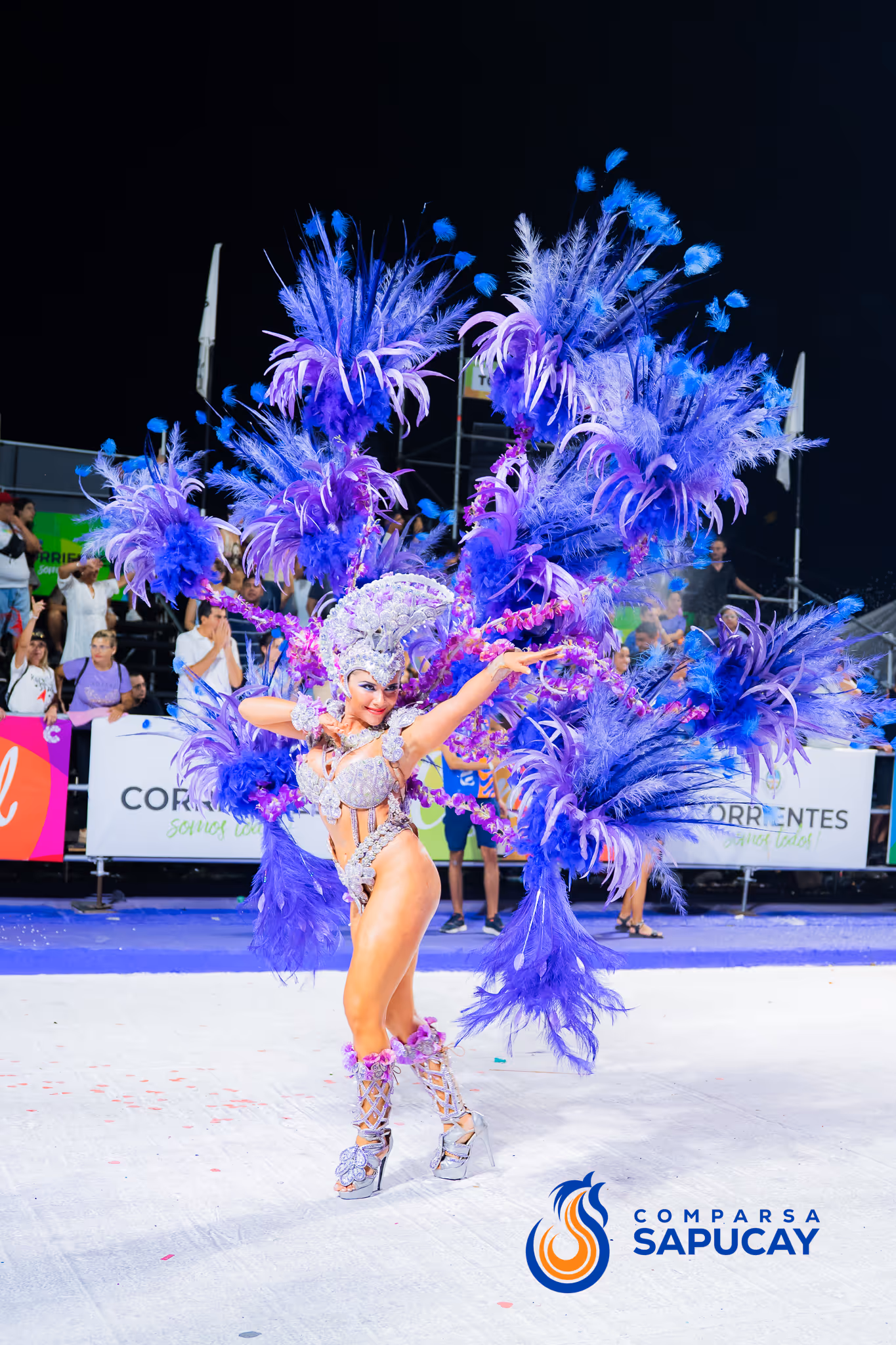 Galería de fotos del corso del Carnaval 2025