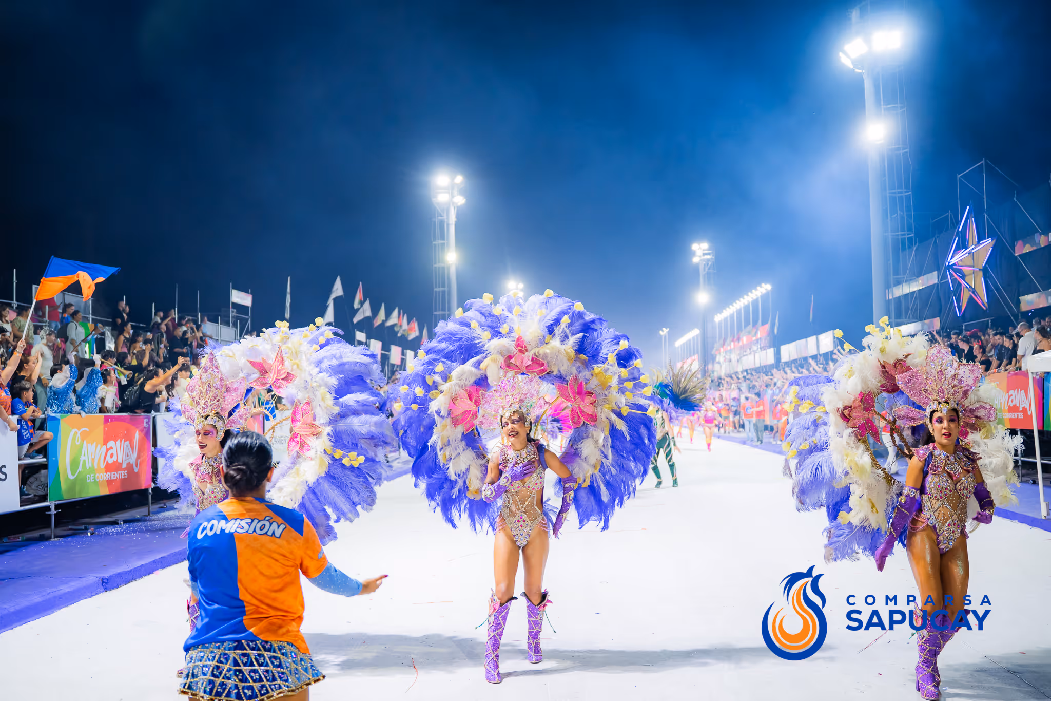 Galería de fotos del corso del Carnaval 2025