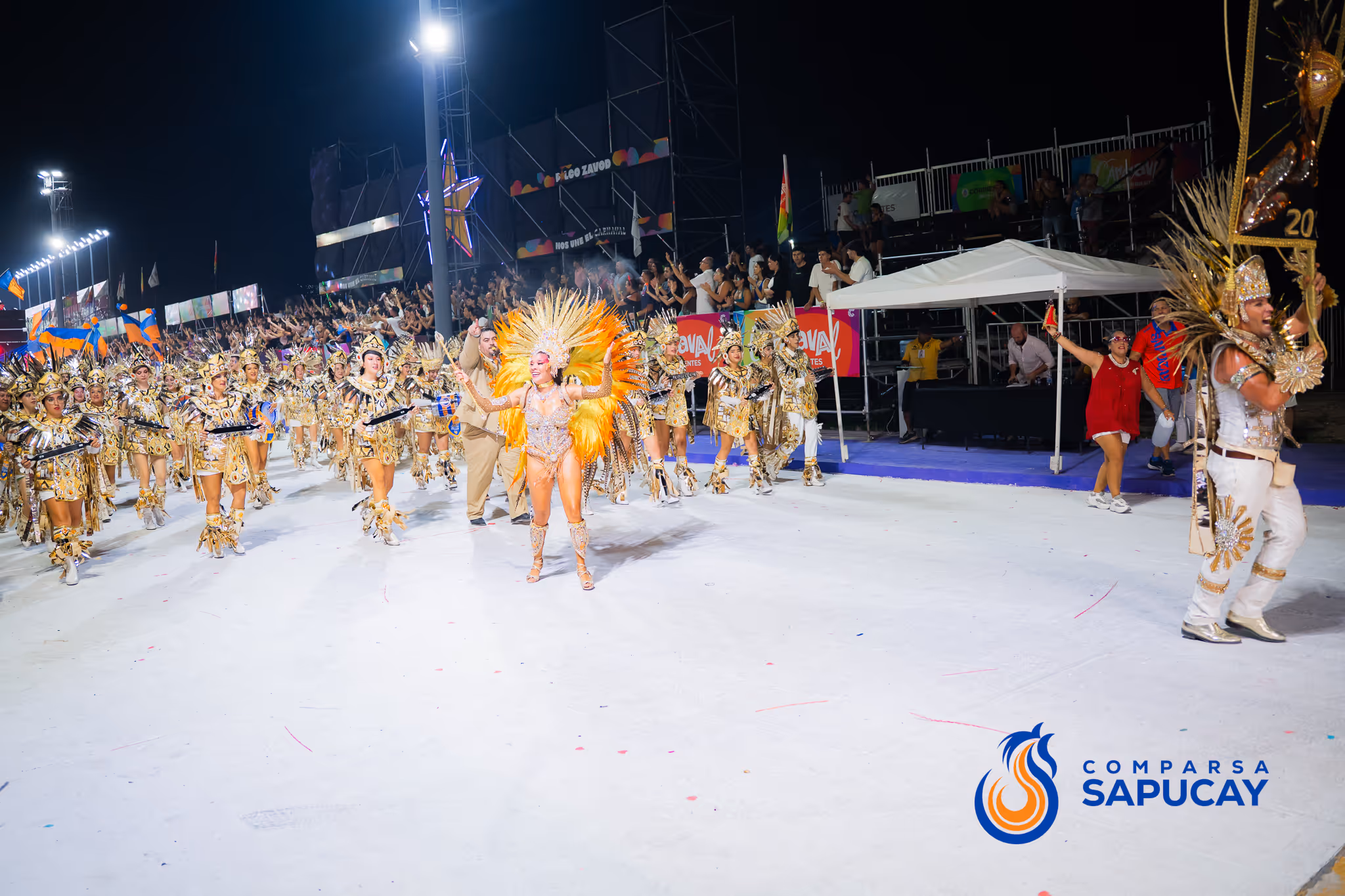 Galería de fotos del corso del Carnaval 2025