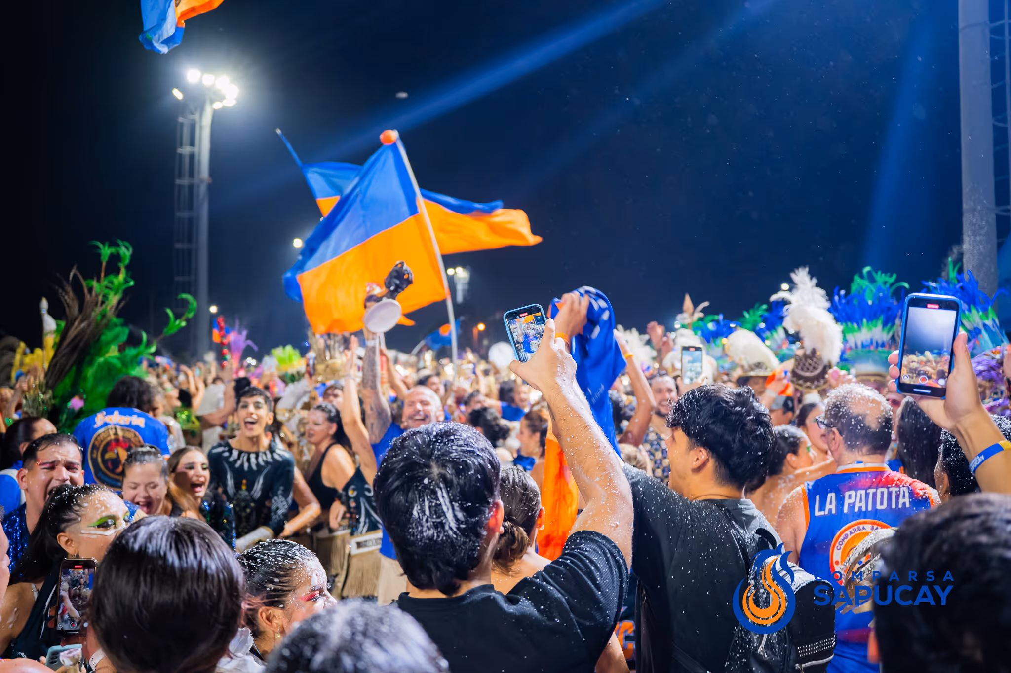 Galería de fotos del corso del Carnaval 2025