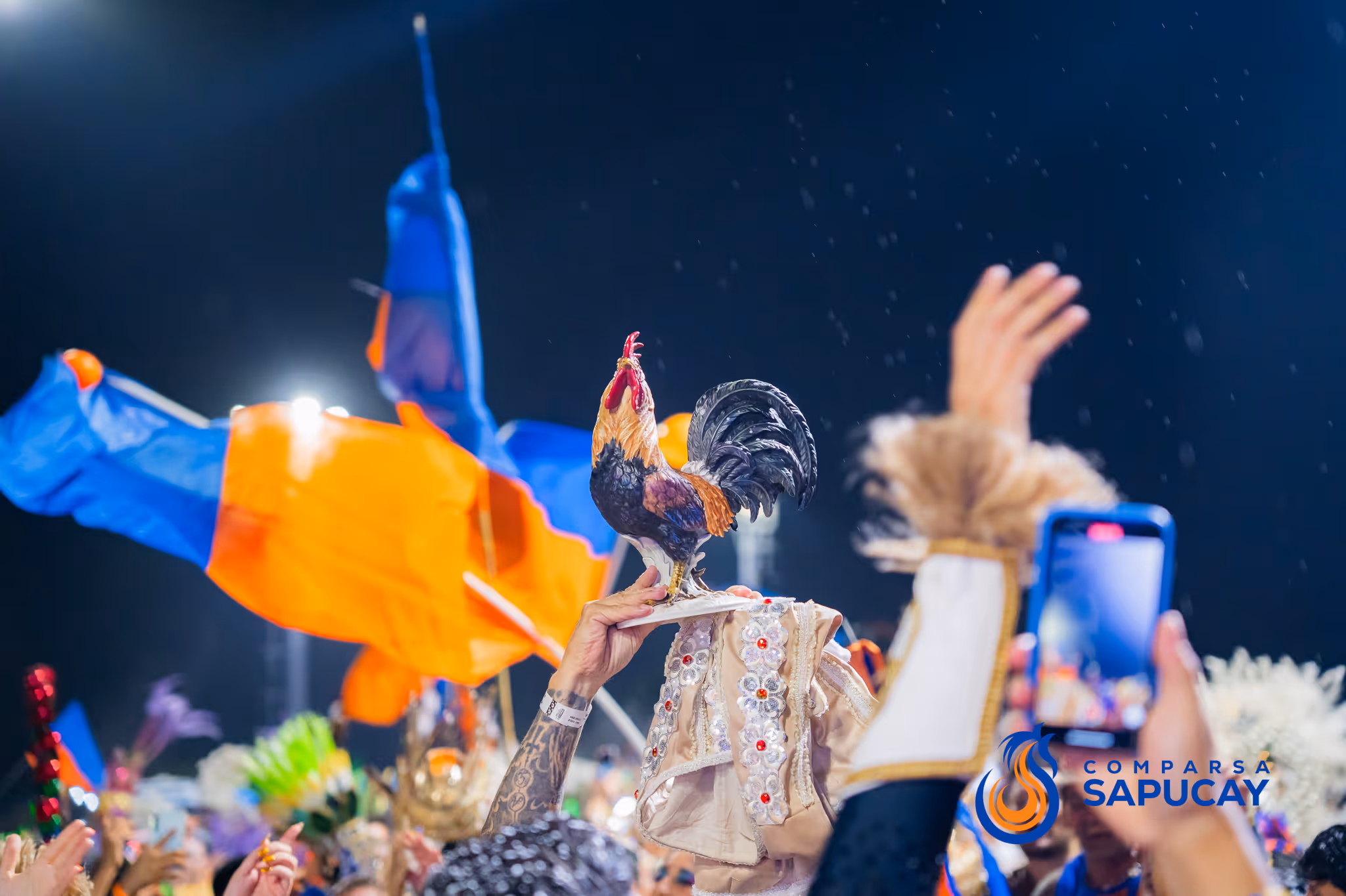 Galería de fotos del corso del Carnaval 2025